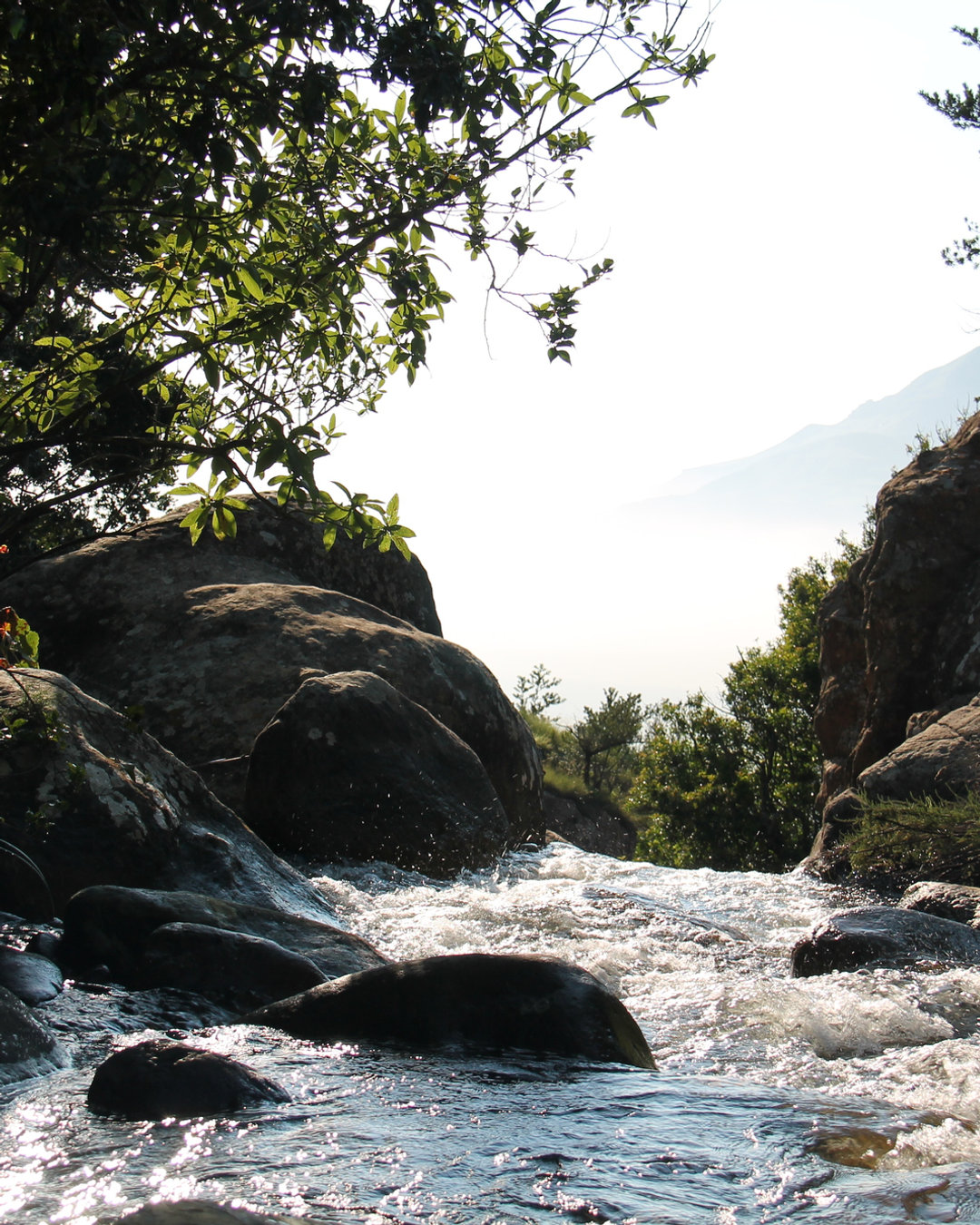 Rivers of tears.
Can grief be an opening?
Can Mystery enter in?
Can gratitude surprise us?
Blog post.
If you are in the thick of it, you are NOT alone.
Come journey with me.
#midwifejourney
#death
#loss
#rebirth
#providerspace
#providerspacecoaching
#midwifery