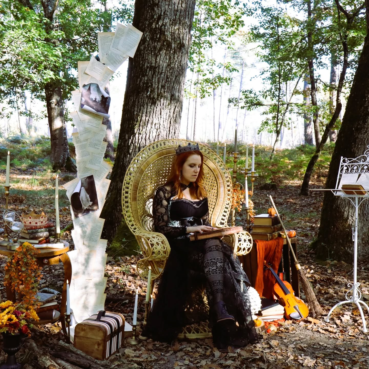 Halloween Spécial Witches - La Bibliomancienne
#halloween #sorciere #witchaesthetic #witch #wood #thelittlefactory86 #shooting #halloweenaesthetic