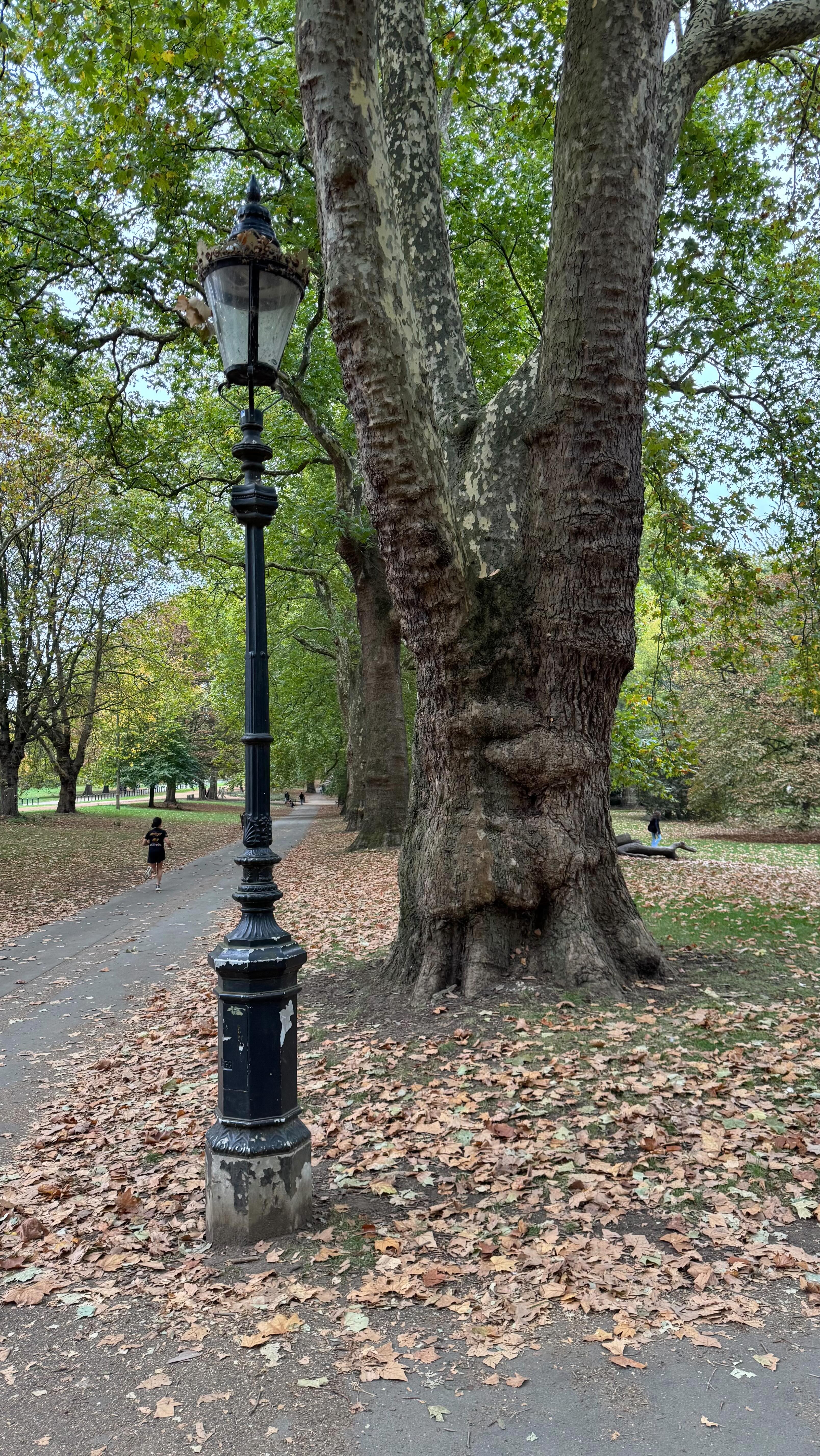 A day at the Chelsea Harbour Design Center, beautiful showrooms and lovely part of the city. Stopped for a walk and hot chocolate in Hyde Park. Summer falling into autumn, and I can feel the seasons shifting here.