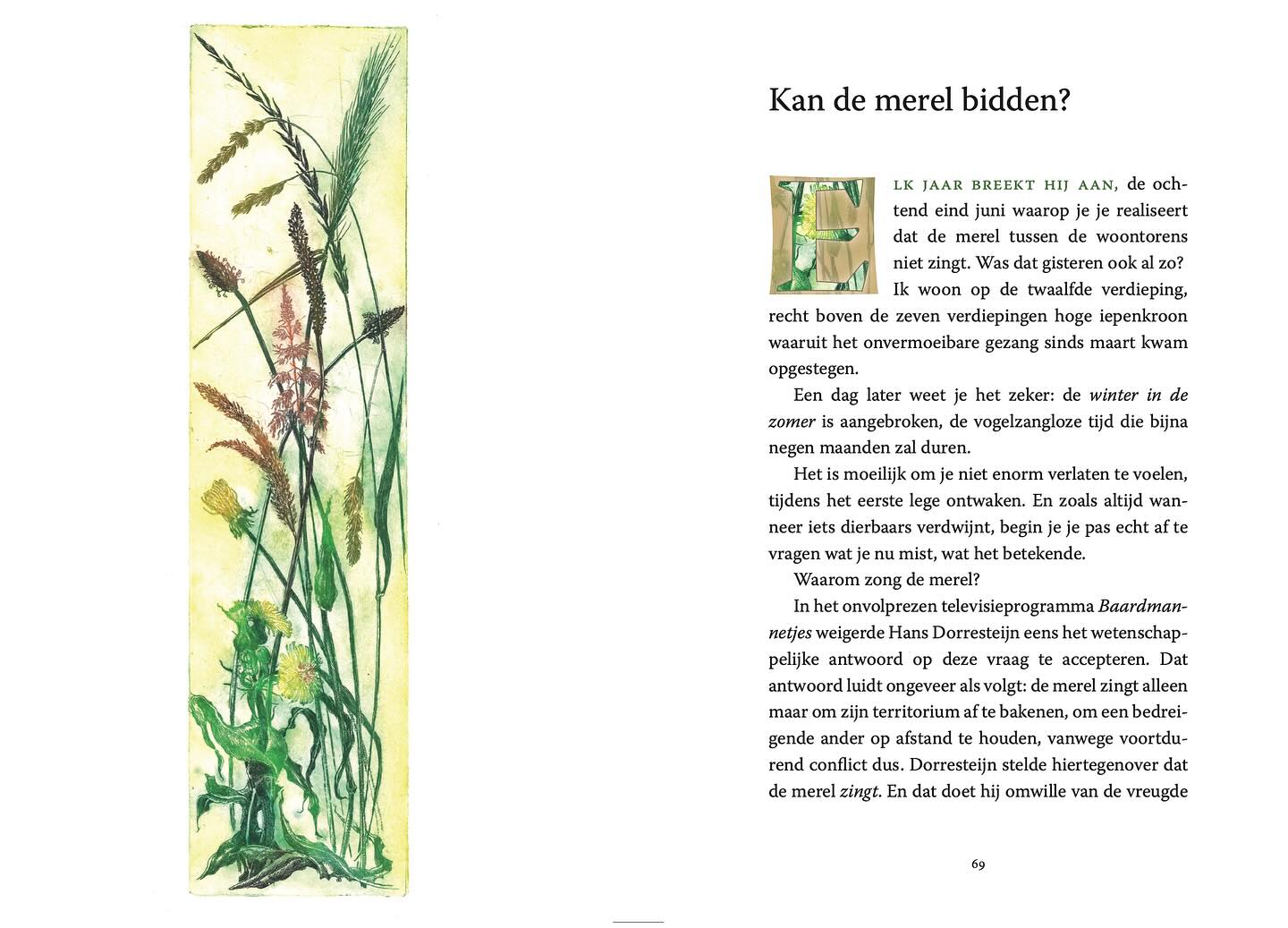 Vandaag binnengekomen Amen van Willem Jan Otten met 30 kleurenprenten van mij. Overal te bestellen. Vormgeving is van Circe, Zierikzee (Marieke de Vlieger) en is fantastisch! #skandalonuitgeverij #insectprint #sealife #printmaking #etching #figuredrawing #classicdrawing #blackandwhitedrawing #engraving #largeetching #penandink #seascapedrawings #fromlifeonly