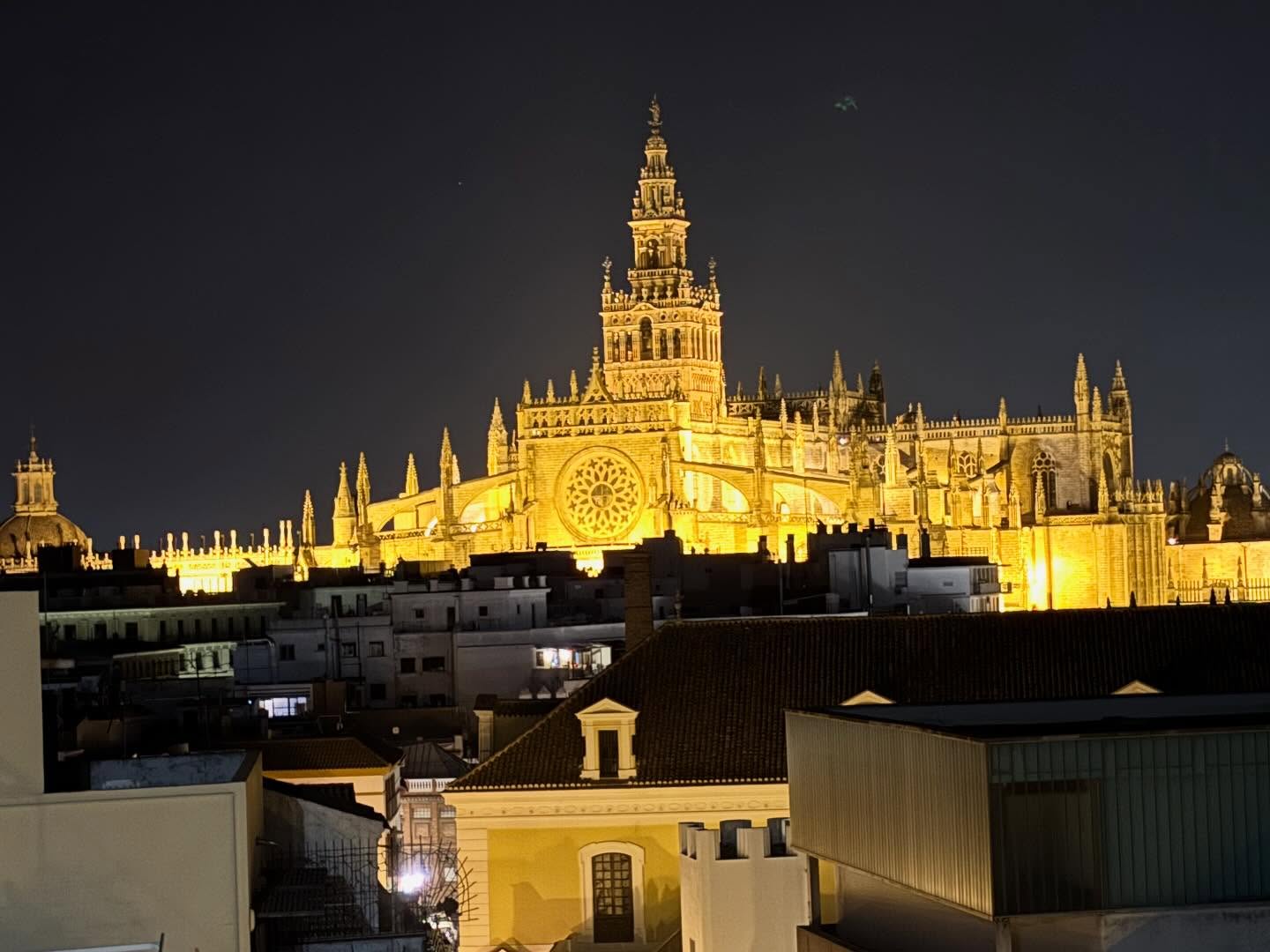 Murillo, Zurbarán, Goya, Pedro de Campaña, Pierre Dancart, la sepultura de Cristóbal Colón están aquí dentro. La catedral gótica más grande del mundo, el tercer templo del mundo cristiano. “Hagamos una iglesia tal que los que la vieren acabada nos tengan por locos” dijeron los canónigos, o eso cuentan las crónicas. La Catedral de Sevilla, esa joya.