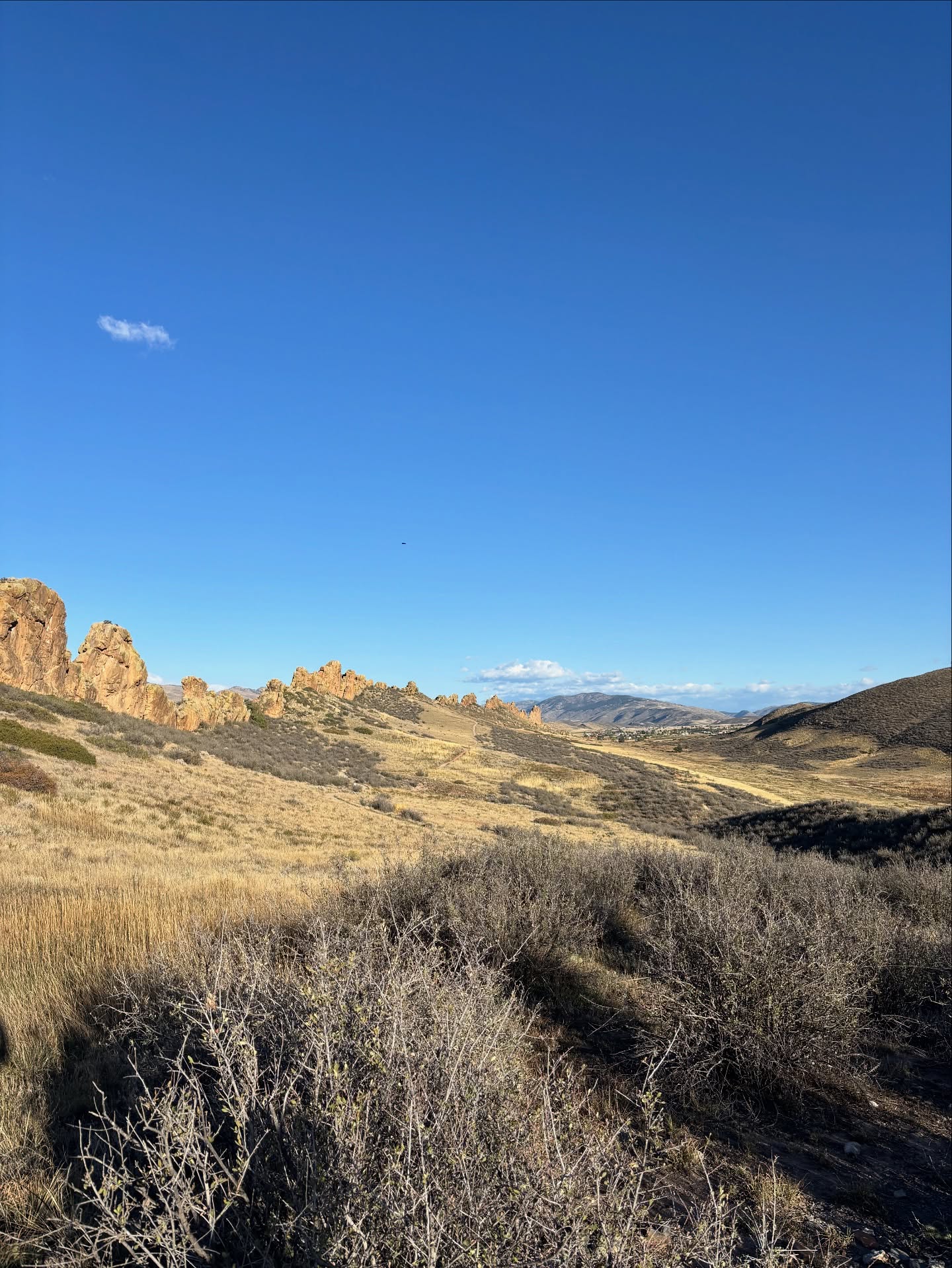 Nothing spookier than hiking Devil’s Backbone! This relatively flat trail is great for families and dogs! The rock formations are truly amazing to look at.
Trail: Devils Backbone Loop
Time: 50 minutes
Distance: 4.5 miles (7.24km)
#colorado #colorfulcolorado #hiking #buddy #trail #fortcollinsnaturalareas #fortcollins #fall #climbershaul