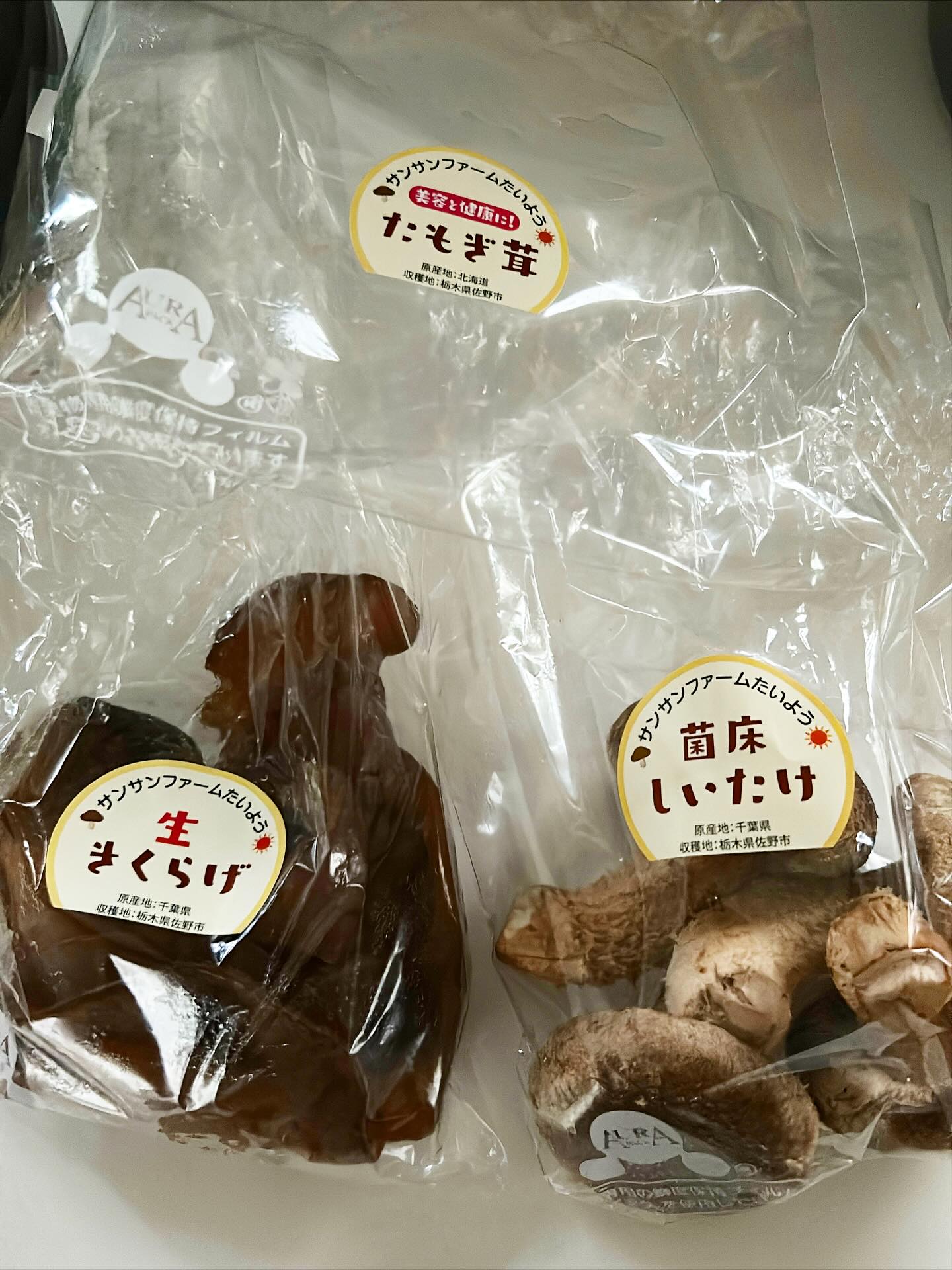 贅沢にキノコだけ汁、めちゃくちゃ美味しい
キクラゲのお刺身の分を食べてしまったので、また買いにきたいなꔛ٩(ˊᗜˋ*)و
#SUGURONOUEN#佐野市#キノコ汁#サンサンファームたいよう#たもぎ茸#生きくらげ#しいたけ
