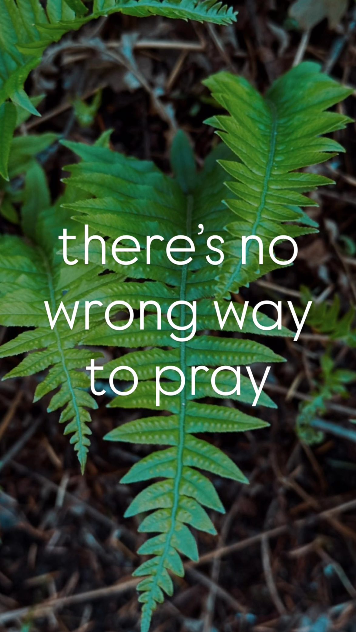Walk, talk & rock with divine and you will come to know your truth.
A dear elder of mine who has crossed the rainbow bridge always reminded me that there is no wrong way to pray, but also the more we connect with the divine, the stronger our relationship grows.
All of our relations ✌🏼
#divine #soul #create #theway #pray #play