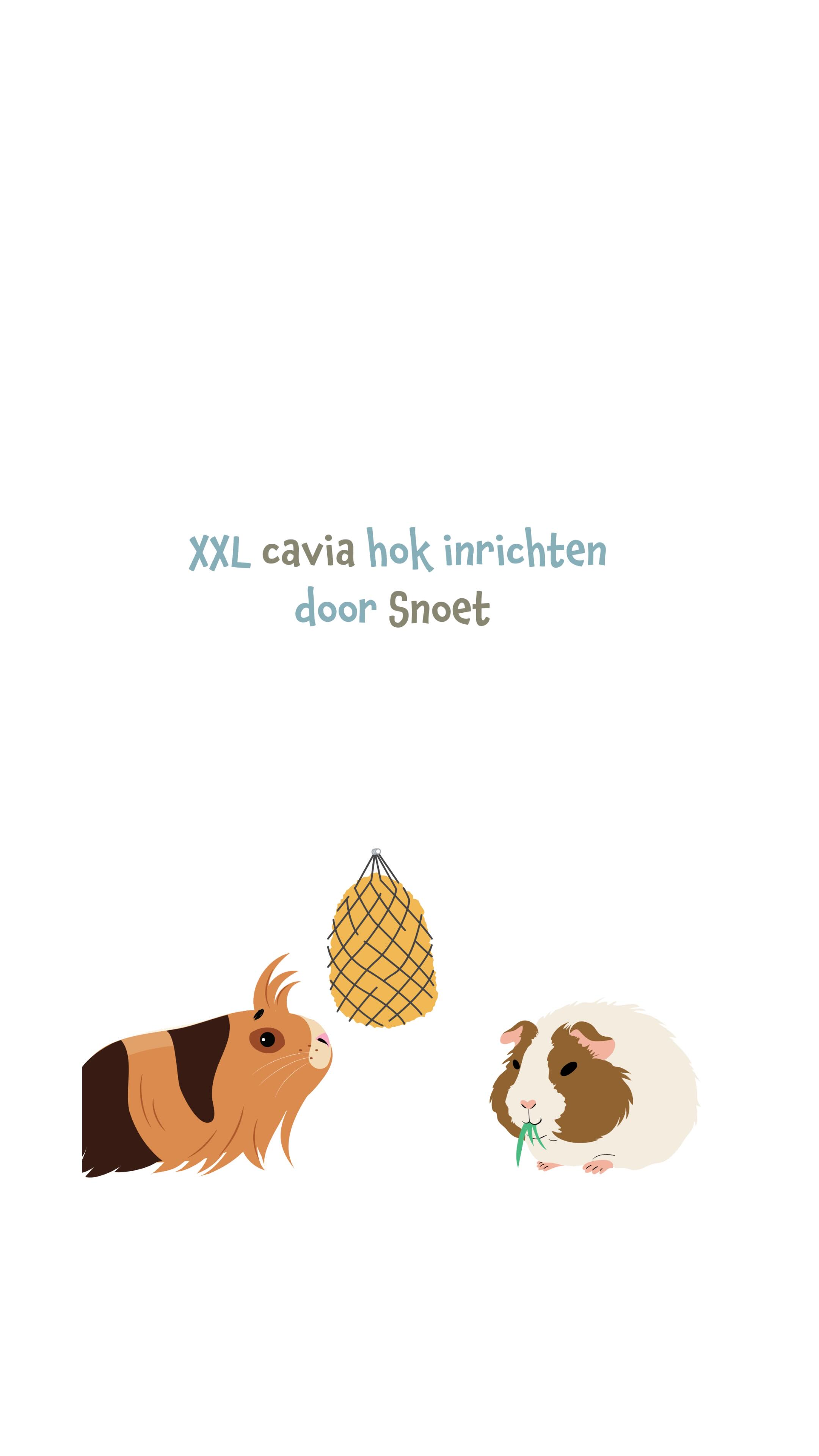 🐹✨ Team Snoet mocht helpen bij het inrichten van een XXL caviahok!
Wat een feestje om mee te mogen denken over de perfecte inrichting voor deze gelukkige cavia’s. Van knusse huisjes tot tunnels en leuke speeltjes, alles voor een comfortabel en speels verblijf!
Ben jij ook bezig met het (her)inrichten van een hok voor je knaagdier? Kom gerust langs, we denken graag met je mee!
#SnoetBorne #Knaagdierenplezier #CaviaHok #DierenwinkelTwente #Dierenspeciaalzaak #BornseOndernemers #CaviaLovers #CaviaVerzorging #XXLCaviahok #dierenplezier