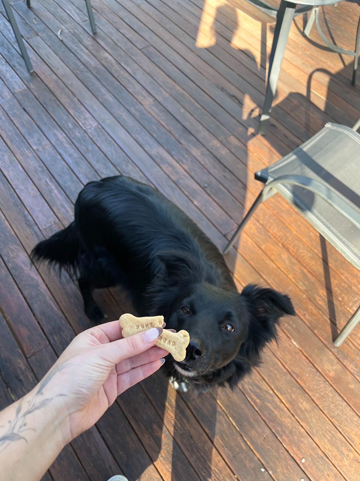 Mr Sox enjoyed his cheeky treat from @puntrdwines 🐾✨