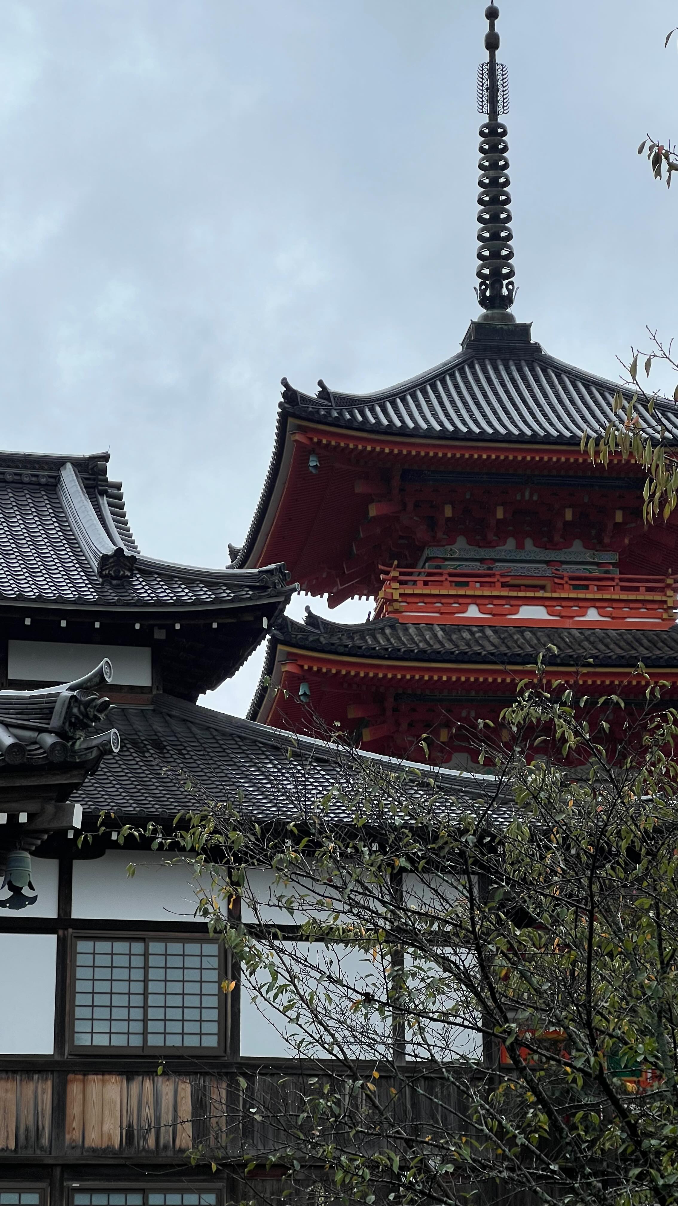 ✨ Emails, matcha, the most amazing views from the Shinkansen and a lot of Wi-Fi hunting 🤝🇯🇵 Yesterday’s founder proving great work can happen anywhere ✨
#japan #workfromanywhere