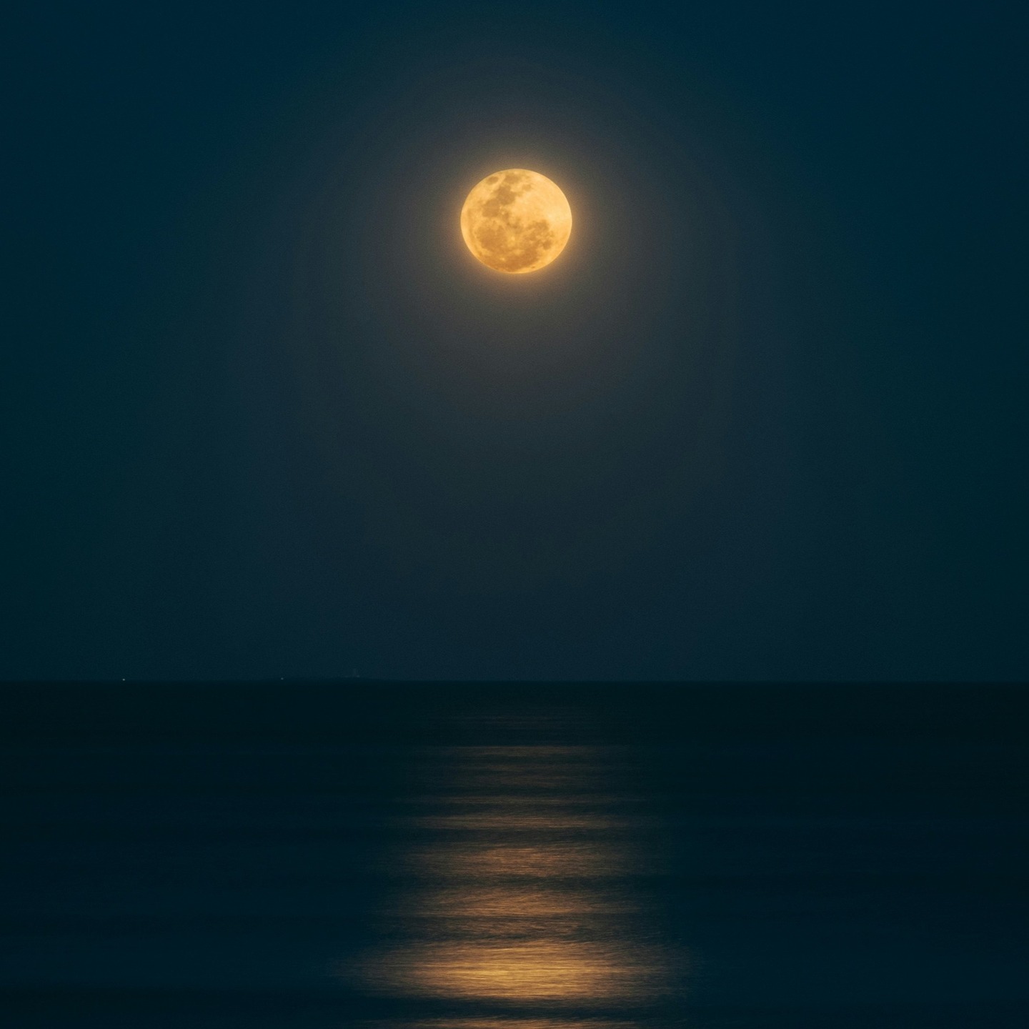 🌜
.
.
.
© @guzbarquin v/ @unsplash
.
.
.
#180editions #mangezlocallisezlocal #moon