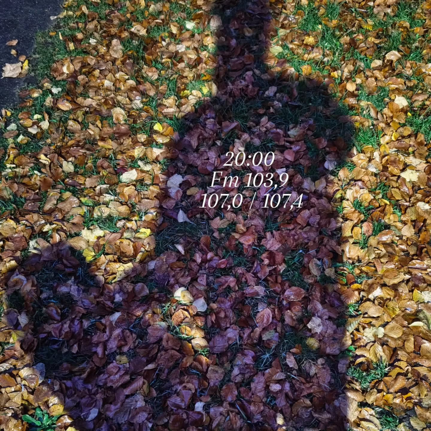 Tonight for the first time on the air waves. A sneak preview of the upcoming album, a nice talk and a live session. Tune in people
@sidetrackoprbs
@rbsradioregionaal
#singersongwriter #indiefolk #indieartist #accousticguitar #sadmusic