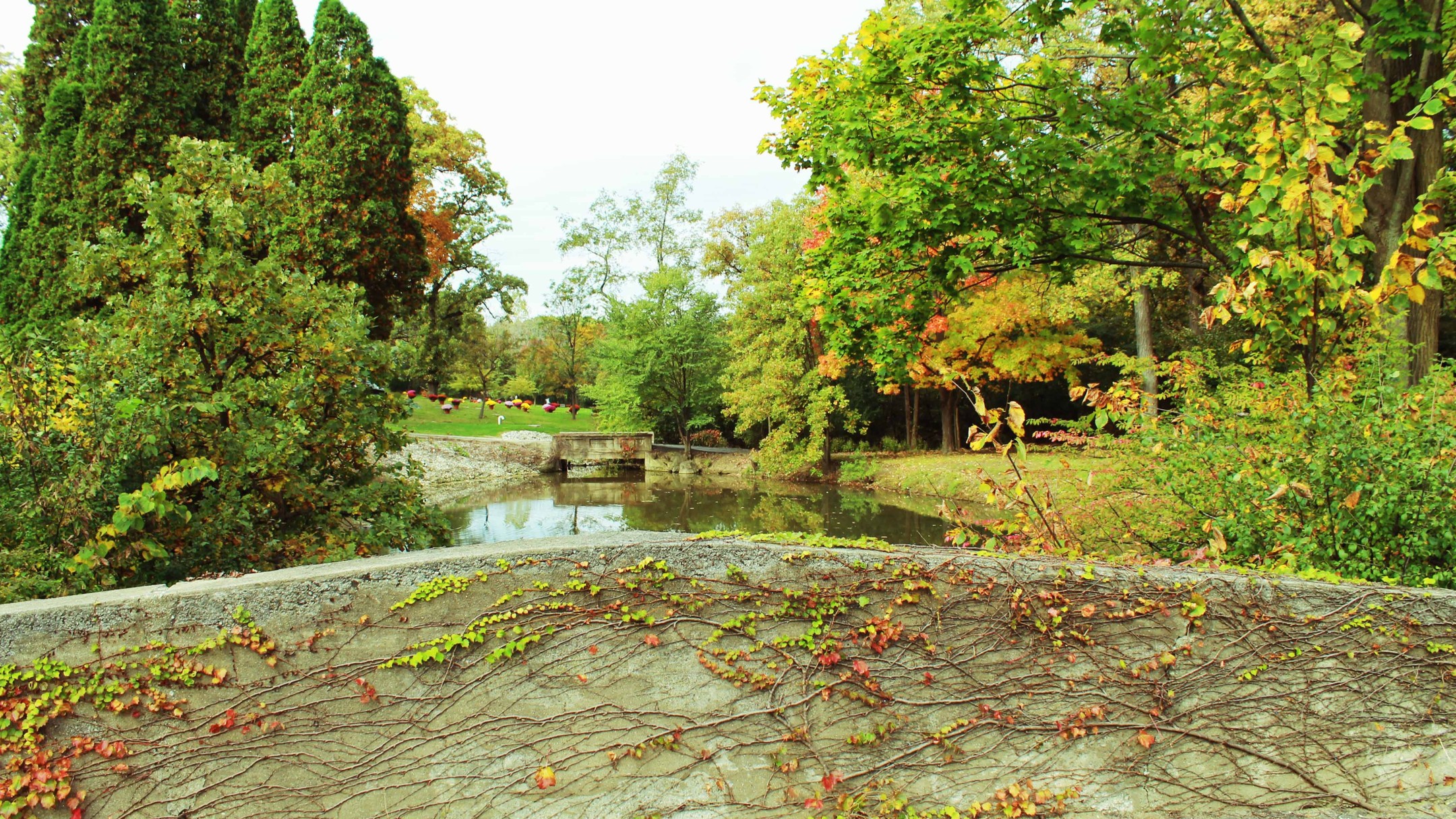Bronswood Cemetery, Oak Brook, IL
#cemetery_photography #cemeteryphotos #cemeteryscapes #cemeteryscene #cemeterystrolls #cemeteryphotographer #cemeterytravels #illinoiscemeteries #uniquememorials #chicagocemeteryphotography #chicagocemeterycrawlers #tombstonetravels #taphophile #bronswoodcemetery #oakbrookillinois