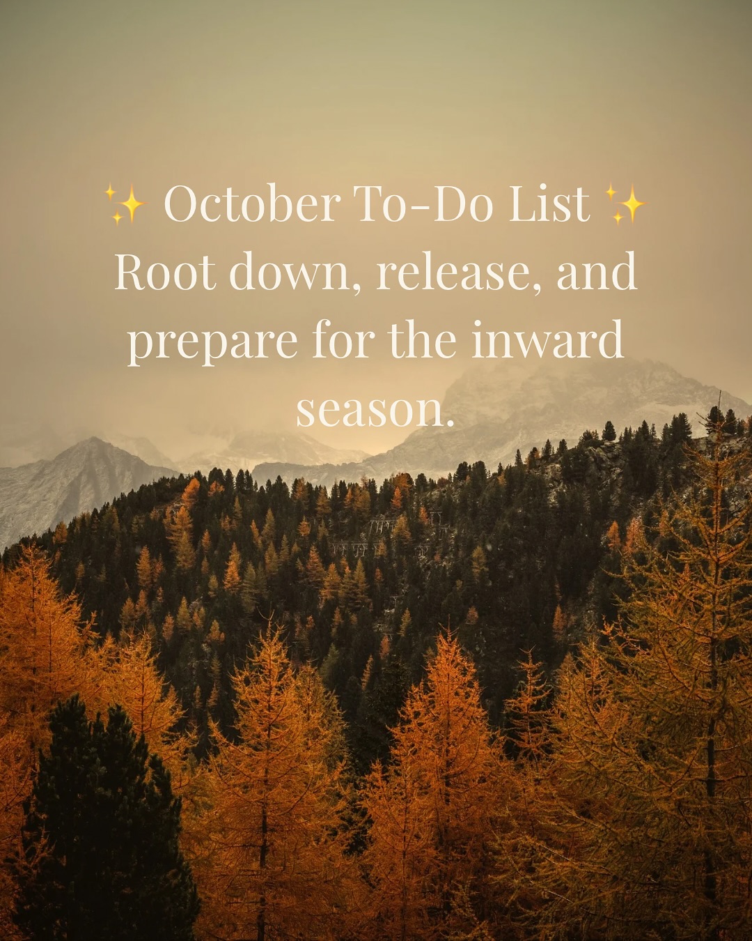 October is the season of release and renewal — the soft in-between where the earth exhales. 🍂
Here’s your gentle reminder to slow down, tend to your space, and listen to what the season is whispering.
What’s on your autumn to-do list? 🌿
#ThreeCrowsApothecary #SeasonalLiving #HerbalHealing #HolisticHome #WitchyWellness #EarthCraftedHealing #HerbalRemedies #AutumnMagic #MindfulLiving #NatureRituals