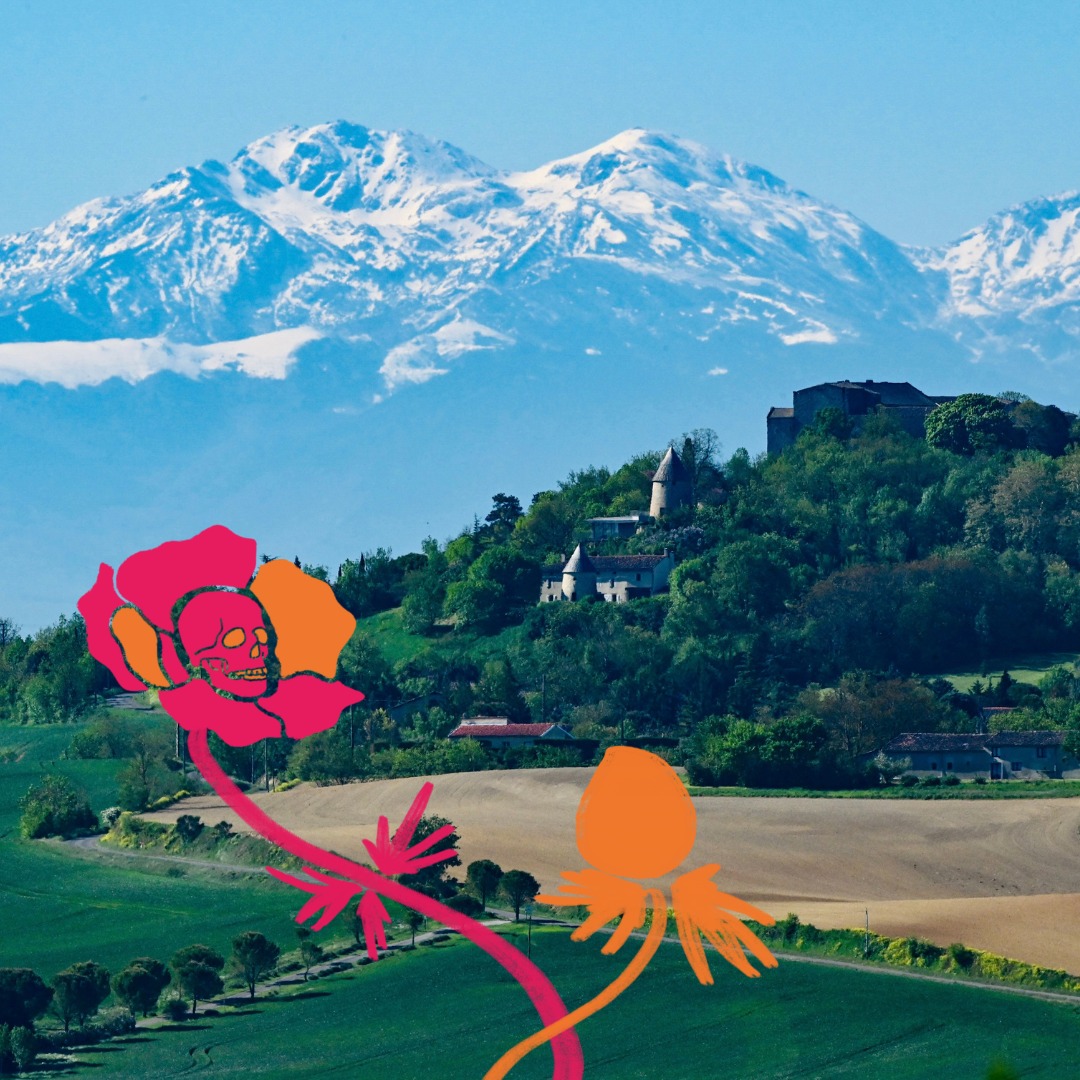 🌻C’est beau ici !🍂
St-Félix-Lauragais, son château, sa halle, son église, ses remparts, mais surtout sa magnifique vue !
Le festival -à la mort à la vie- est honoré de prendre place dans ce cadre plein de magie.
#stfélix #vue #panorama #occitanie #festival #lamort #funérairealternatif #celebrerlavie