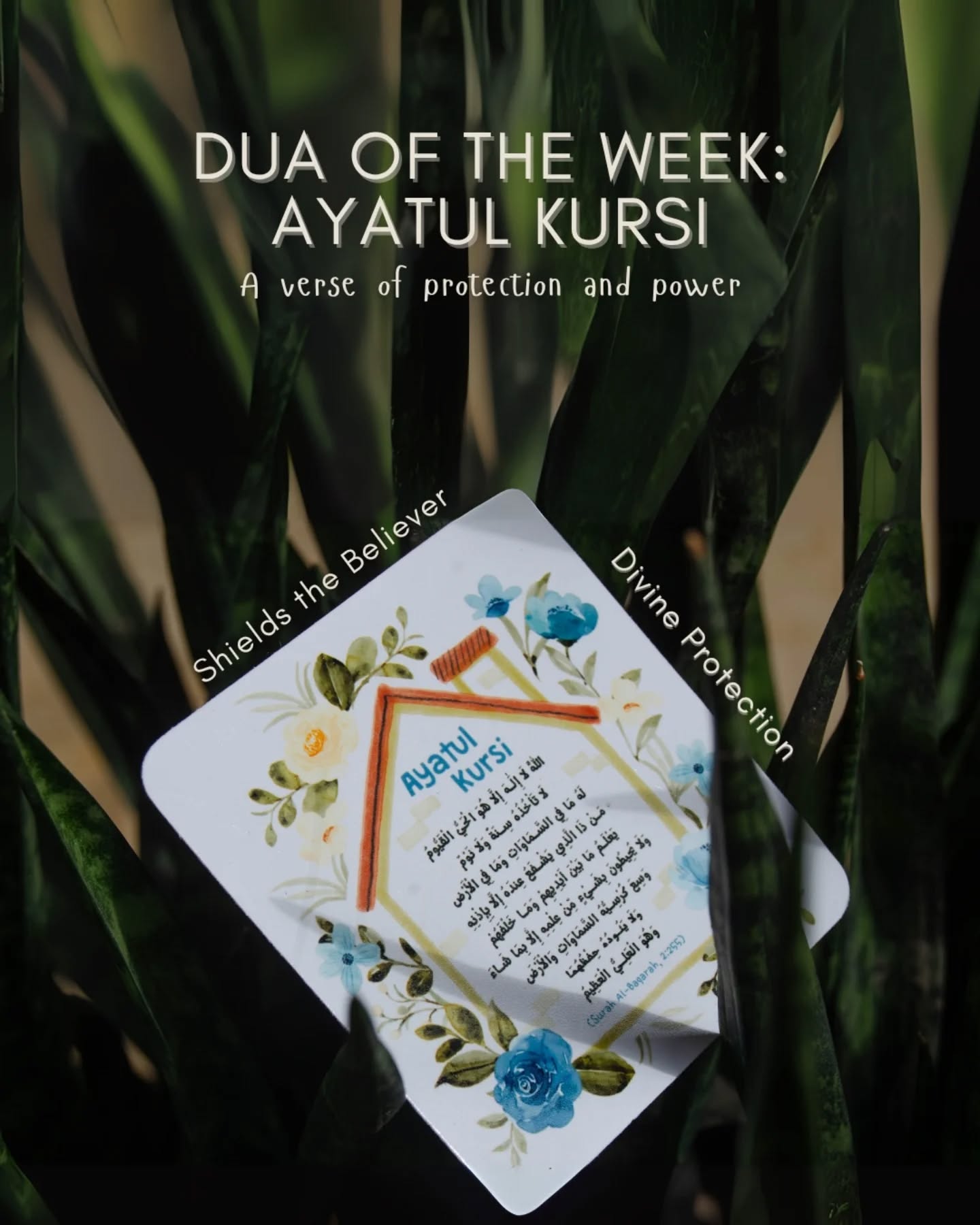 Ever notice how Ayatul Kursi instantly brings a sense of calm the moment you recite it?
That’s the beauty of this powerful verse — it shields you with divine protection, bringing serenity to your heart and home. ✨
Each word reminds us that Allah is the protector, the ever-watchful, and the one who never sleeps nor forgets.
And now, you can carry that same peace with our Ayatul Kursi magnet — a gentle daily reminder of faith, comfort, and the light that never fades. 🌙💫