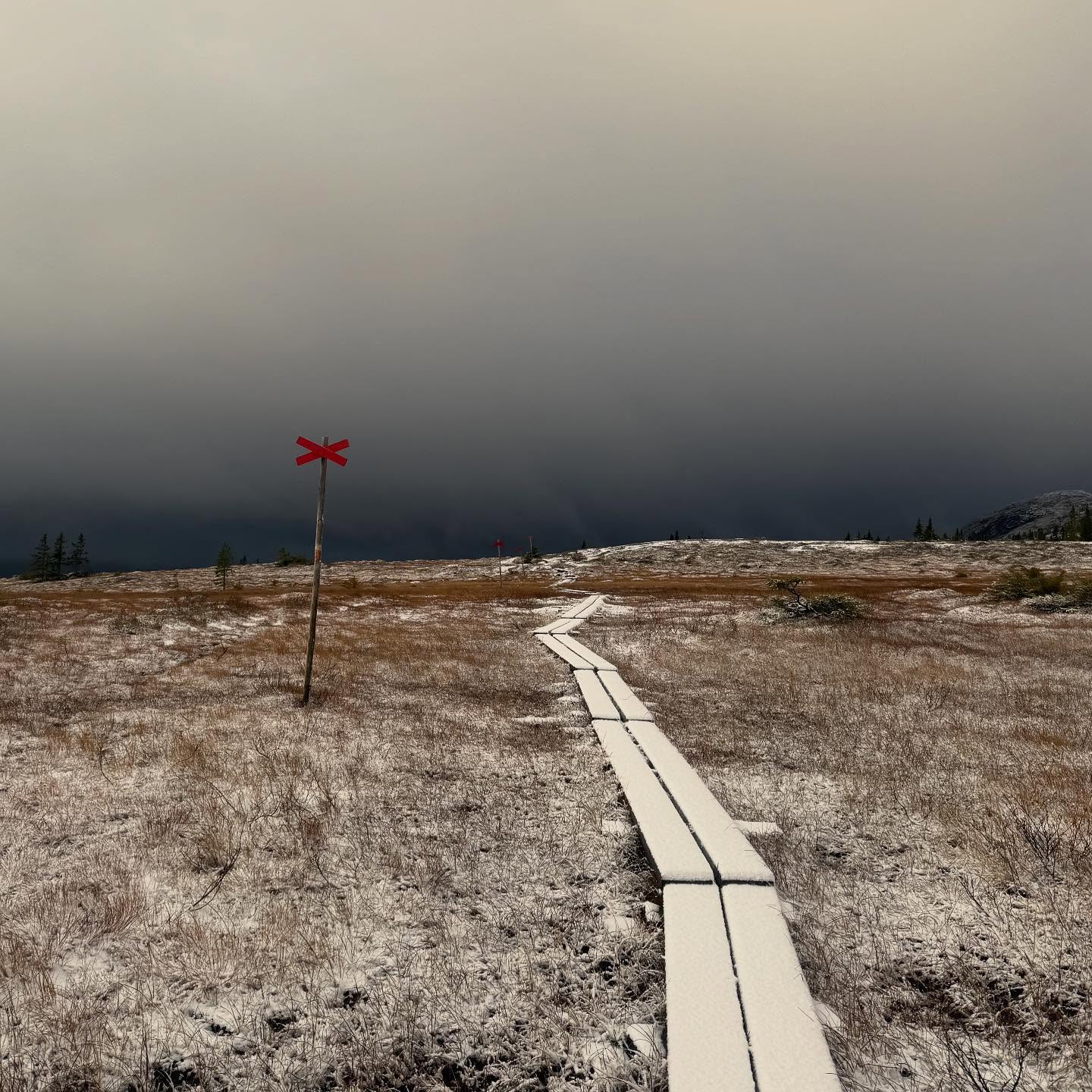 Tack för era besök i helgen 🙏
Vi öppnar som vanligt på torsdag (23/10) sen har vi öppet varje dag under höstlovet 🍂
Öppet tors 23/10 - sön 2/11
kl. 10.00 - 14.00 (sista beställningen 14.00)
Efter söndag 2/11 stänger vi några veckor och laddar inför vintern ❄️ 😃
Uppdaterar när vi öppnar vilket styrs lite av Kung Bore 🤴🏻 ❄️
Varmt välkommen 😊