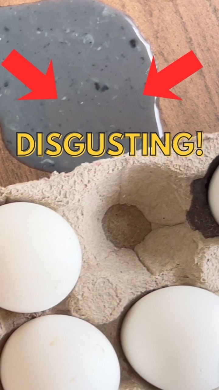 This was our second try.
We ordered BigBasket’s Fresho Eggs again after the last batch smelled bad on arrival. This time? The moment we touched one of the eggs, it oozed black liquid.
And inside? Maggots.
We were shocked. The smell was so bad it made us gag.
We’ve been testing multiple brands to see how long eggs actually last when delivered and stored at room temperature. This was the only one that failed like this—twice.
@bigbasketcom
📌 Disclaimer: These results are not solely reflective of the brand. Factors like delivery timelines, rider handling, platform logistics, and storage conditions also affect freshness. Platforms like Swiggy, Zomato, Blinkit, and BigBasket play a big role.
Follow us for more egg-speriments.
#BigBasket #EggTest #DoesItLast #FoodSafety #RoomTemperatureChallenge #FoodScience #ShelfLifeMatters