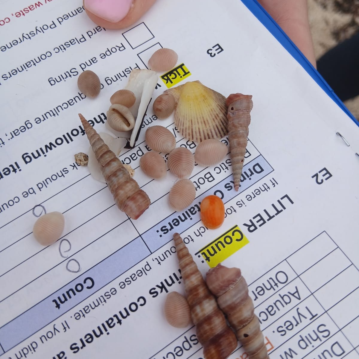 Another busy week for our regional coordinators! Photos from Marie Louise Heffernan in Connemara, Sam Moran in Sligo, Brian Jacob in Waterford, and Tom Hannigan in Donegal!
We are officially in the last week of the survey season! Get out this weekend to explore your shore and keep an eye out for seagrass!
Book your survey unit here:https://experience.arcgis.com/experience/355996d5aea146c6af4dd5ad14b99ca9#data_s=id%3AdataSource_1-19170232df0-layer-5%3A4381