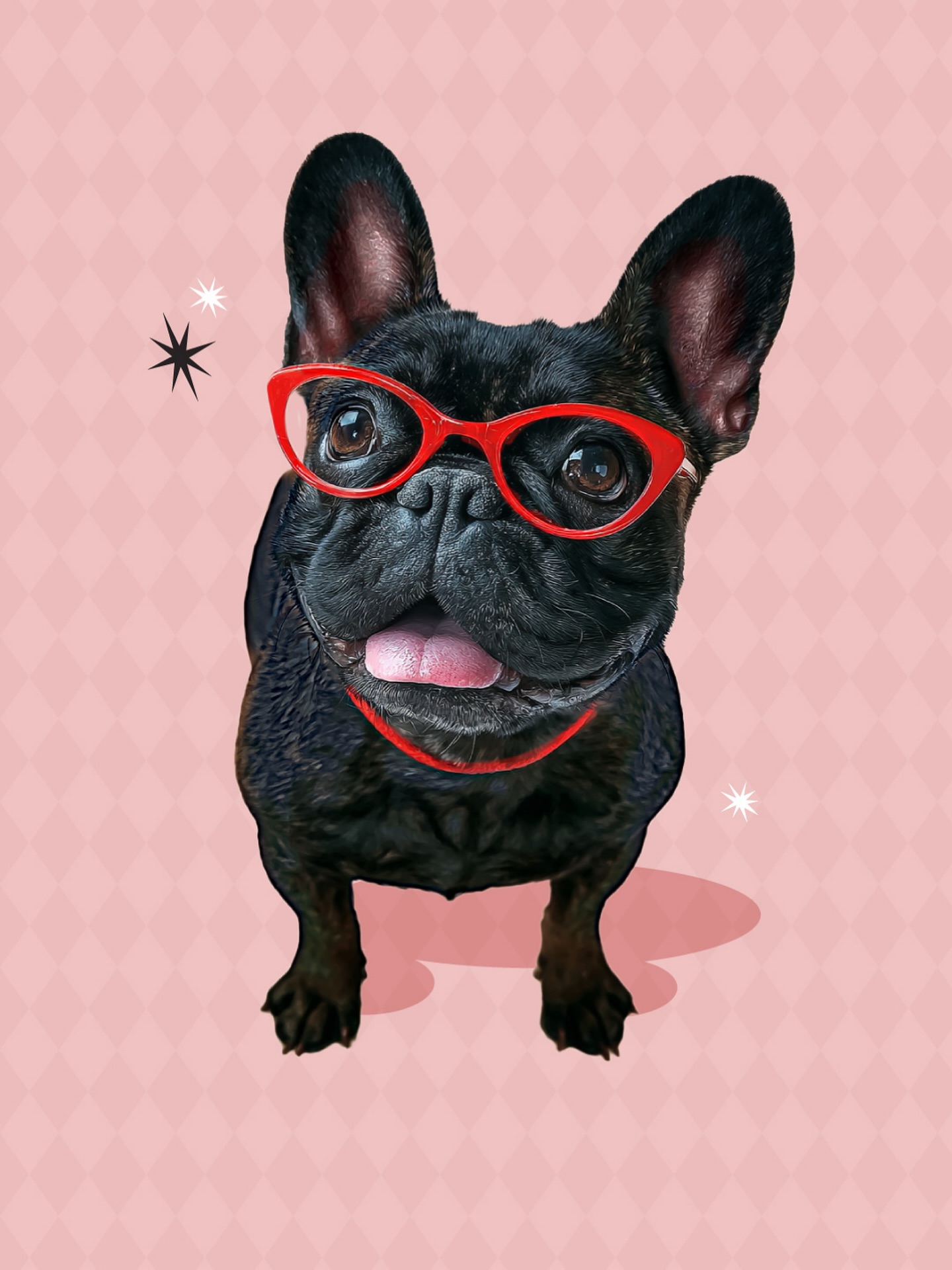 With AI, we can quickly bring characters to life, like Rockin’ Ruby, based off of Ruby, a beloved frenchie who was the inspiration for @rockin_rubys Holistic Pet Boutique