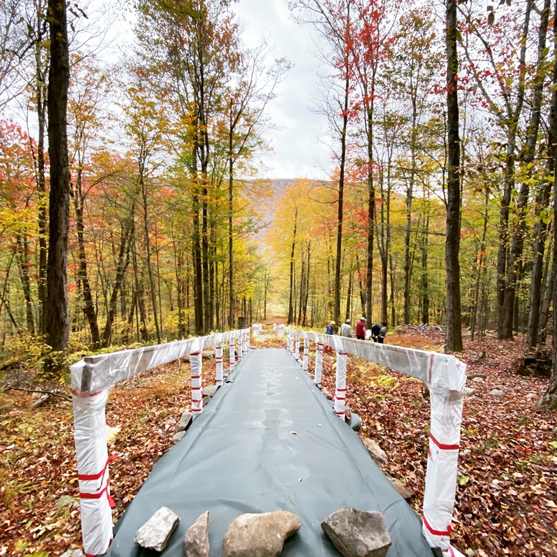 Mornings and evenings have grown noticeably colder, the wind feels chilly on the skin, and the green of the trees has begun turning red and yellow. The last weekend, our volunteer group gathered in the Catskills to prepare the 108 steps—the symbol of Honzo Haven—for winter. The Catskills were in full, vibrant autumn color, a truly magnificent sight.
We started by cleaning the stairs. Leaves were stuck in the gaps, so we used small branches to dislodge them. While doing so, we discovered tiny mushroom-like things growing right in those gaps! Finding them in such an unexpected place amazed us with nature's power. While dusting the stair railings, a little yellow ladybug perched there, seemingly basking in the sun. Then, suddenly, a red ladybug landed on my clothes! I wondered if it was cheering me on~ It gave me a moment of joy!
Amidst the sounds of birds and insects, the scent of nature, the fresh air, and the grandeur of the natural world, working mindfully felt like moving meditation! I want to cherish nature, which always gives me irreplaceable insights and healing, and consciously strive to maintain my connection with it every day.
To protect the stair railings, we carefully cover them with plastic wrap and other materials. After covering the stairs, we place heavy stones as weights on top to keep the covers from blowing away. With the stair and railing covers safely in place, we're fully prepared for winter! We sincerely thank everyone who supports Honzo Haven's activities.
#catskills #fallvibes #npo #naturelovers #fallfoliage
☆.・:゜。☆☆☆・:゜。☆
朝晩もぐっと冷え込むようになり、吹く風が肌寒く、木々の緑も赤く、黄色く色づき始めました。週末にボランティアグループでHonzo Havenの象徴である108階段の冬支度のためにキャッツキルに集まりました。キャッツキルでは、彩り豊かな紅葉真っ盛りで見事な美しい光景でした。
階段のお掃除に始まり、階段の隙間に葉っぱが挟まってしまっているので、小枝で葉っぱを落としていくのですが、その隙間から、小さいきのこのようなものが生えているのを発見!思いがけない場所にあったので、自然のパワーに驚きです。階段の手すりを乾拭きしていると、黄色いてんとう虫がちょこんととまっていて、日向ぼっこをしているようでした。今度は、ふと気づくと赤いてんとう虫が洋服にとまったりして、応援してくれているのかなぁ〜と思い、束の間、楽しませてくれました!
鳥や虫の声、自然の香り、美味しい空気、壮大な自然に触れながら、無心になって作業をしていると、動く瞑想をしているようです!いつもかけがえのない気づきや癒しを与えてくれる自然を大切に、常日頃、自然との繋がりを意識するよう心がけていきたいと思います。
階段の手すりは、保護するために、ラップなどで入念にカバーをします。階段にカバーをかけた後は、カバーが飛ばされないように重石を置きます。無事に階段と手すりのカバーかけが終わり、冬に向けて準備万端です!
Honzo Havenの活動を見守ってくださっている皆様に心から感謝いたします。