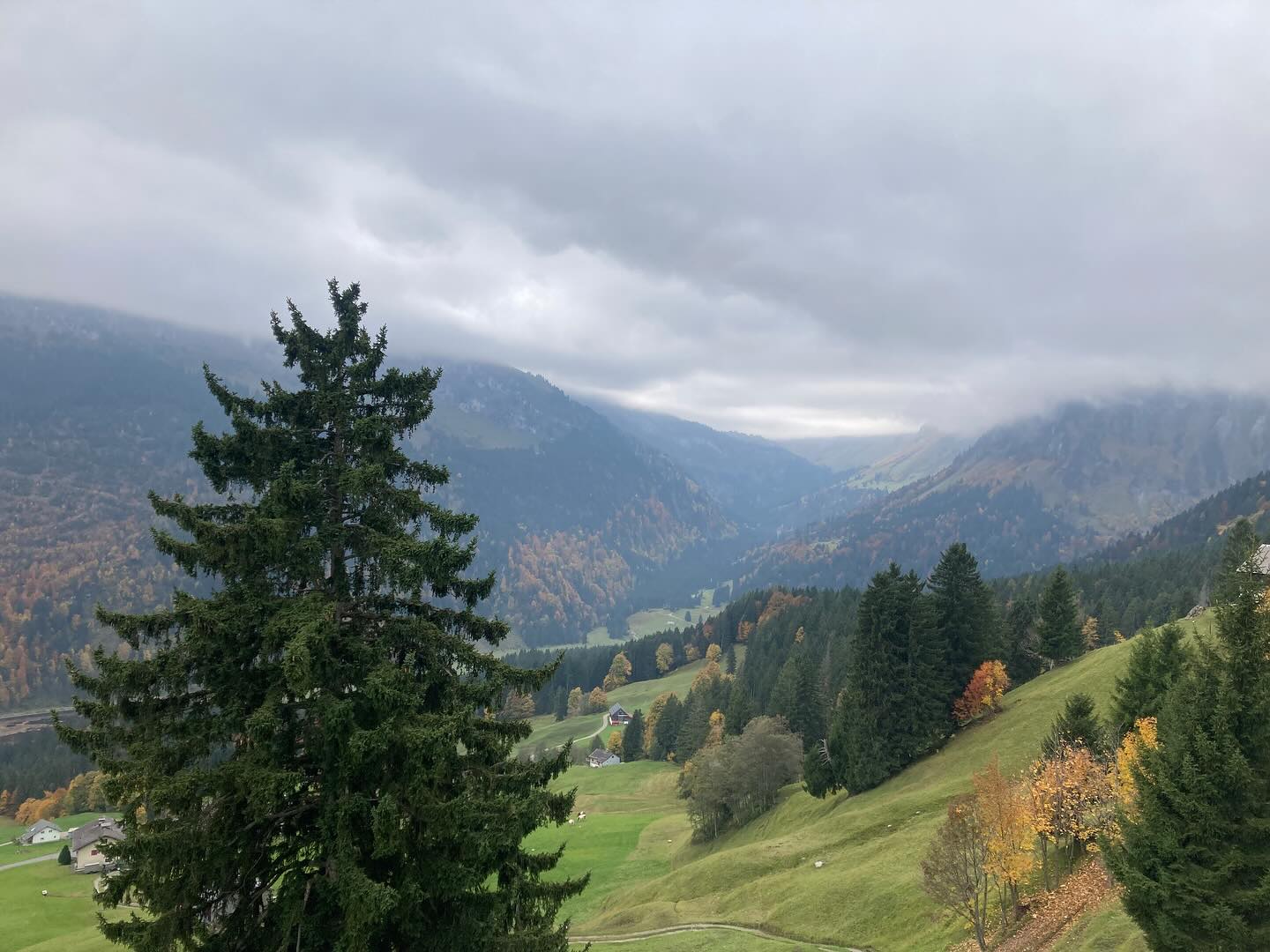 Von Innerthal nach Näfels. Oder wenn die Beine noch Tage später daran erinnern 🏔️
Letzte Woche bin ich von Innerthal (SZ) nach Näfels (GL) gewandert. Keine Sonne, kein perfektes Wetter. Aber genau das hat's ausgemacht.
In der Stille der Berge konnte ich einfach sein. Schritt für Schritt. Gedanken kommen und gehen lassen. Den ein oder anderen Podcast hören.
Diese Art von Ruhe bekommt man nicht auf dem Sofa.