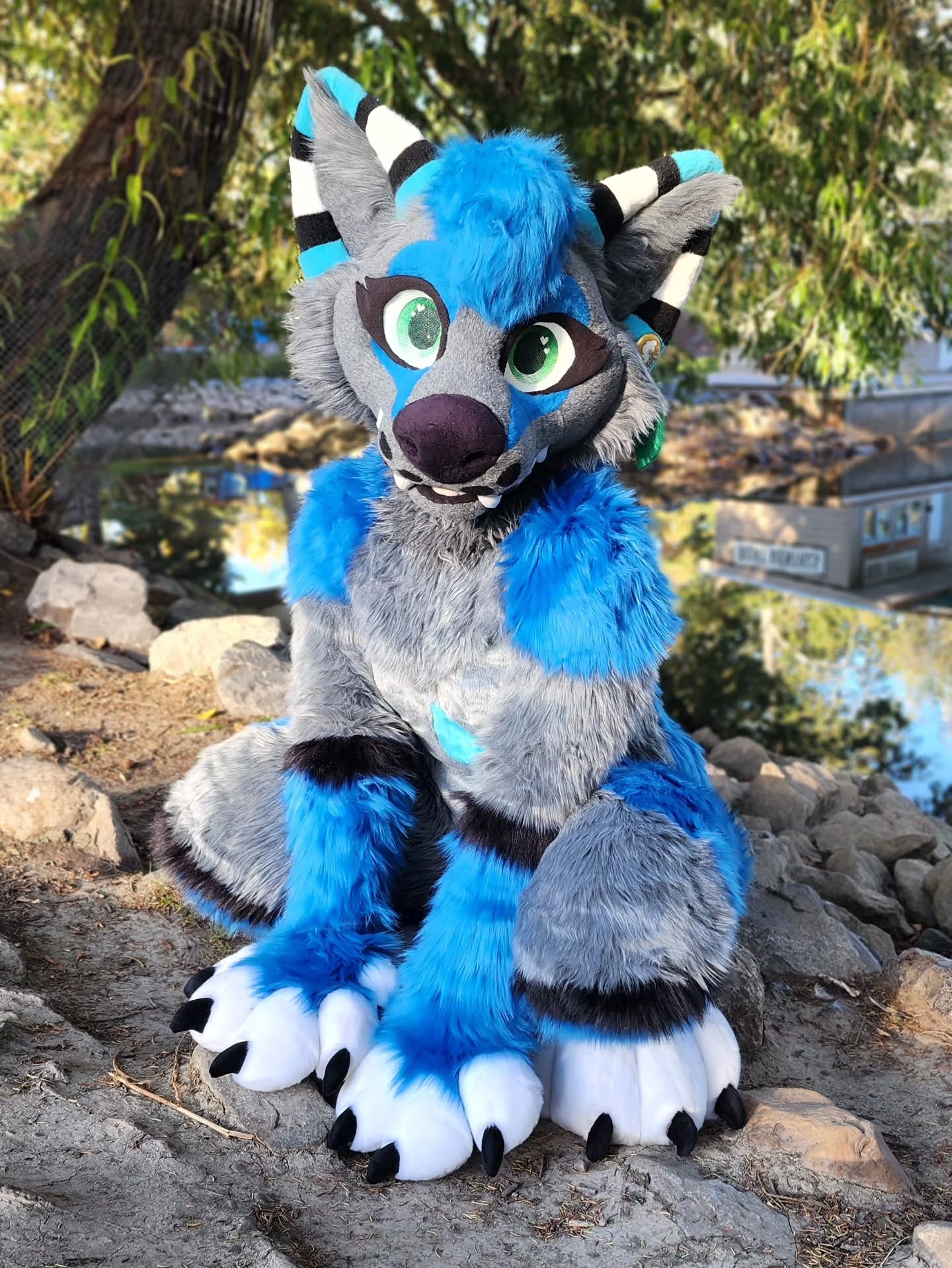 Sitting pretty by the pond 🐶💙
-
#fursuitfriday #furry #fursuit #fursuithead #fursuitmaker #fursuiting #furries #fursuitcrush #canadianfurry #cutefurry #fursona #fursuiter #furrygirl #furryart #furriesofinstagram #furryfandom #calgary #yyc