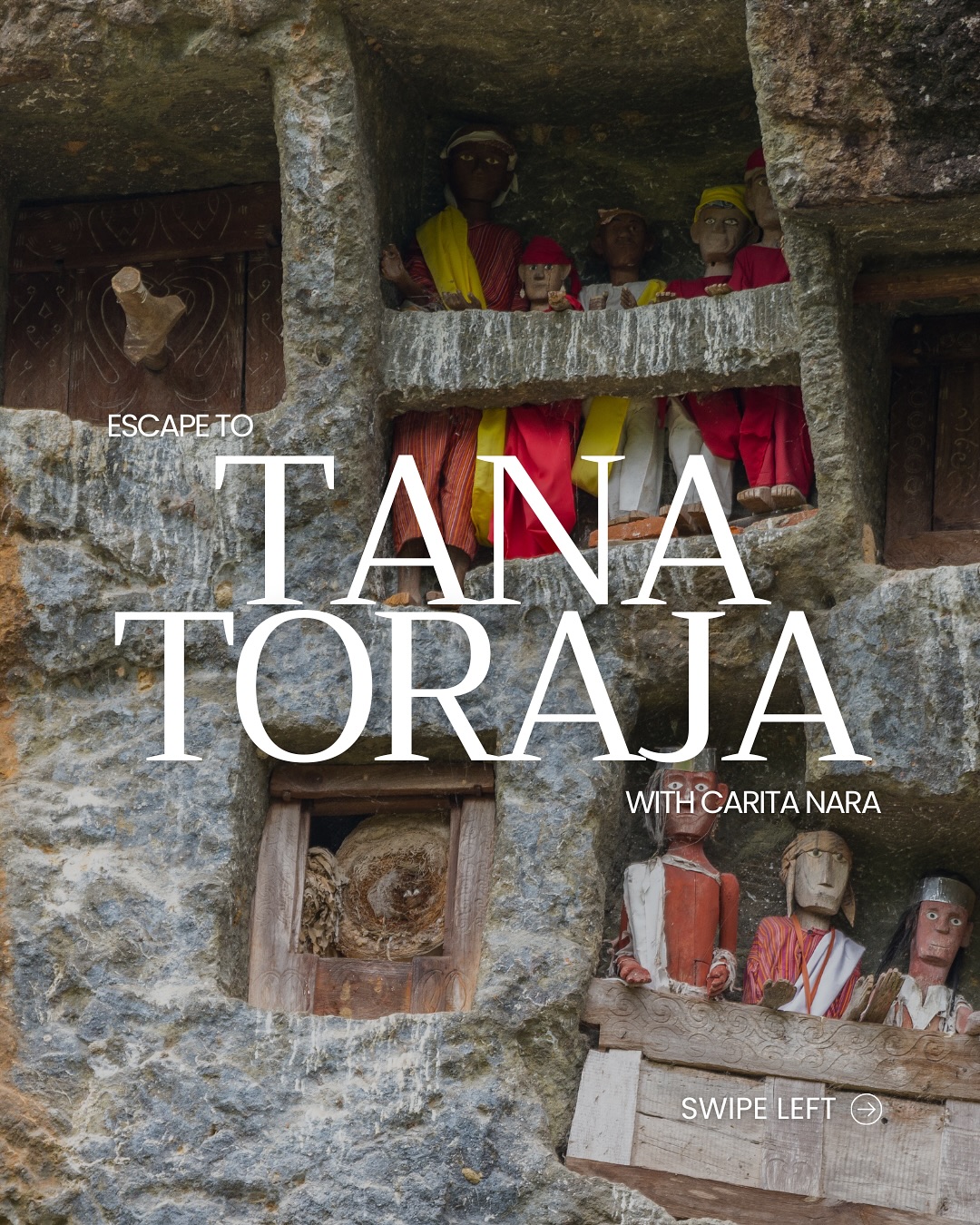 Discover the Magic of Tana Toraja
High above South Sulawesi’s misty mountains lies Tana Toraja, a land where life, death, and tradition live in perfect harmony. Explore the sky-high Tongkonan houses, witness the grand Rambu Solo’ ceremonies, and meet the “people from above” who carry centuries of stories in every ritual.
Don’t miss the Tau-Tau stone graves, taste the rich flavors of Pa’Piong and Toraja coffee, and watch the sunrise paint the mountains gold. Toraja isn’t just a destination — it’s an experience that stays in your heart.
Planning your next cultural escape? Let Carita Nara take you there.
#TanaToraja #ExploreSulawesi #VisitIndonesia #CulturalTravel #IndonesianHeritage #TorajaCulture #SouthSulawesi #DiscoverIndonesia #TravelIndonesia #WonderfulIndonesia #CulturalExperience