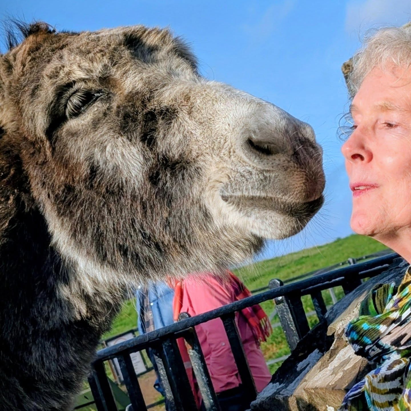 Day 1. We got off to a fantastic start to our October 2025 tour yesterday. ❤️
After picking up a wonderful bunch of guests in Dublin we visited the Hill of Tara and Trim Castle on our way to our tour base for the week at @templehouse
#irelandinfocus #slowtourism #sligo @visitsligo_official @discoverireland.ie