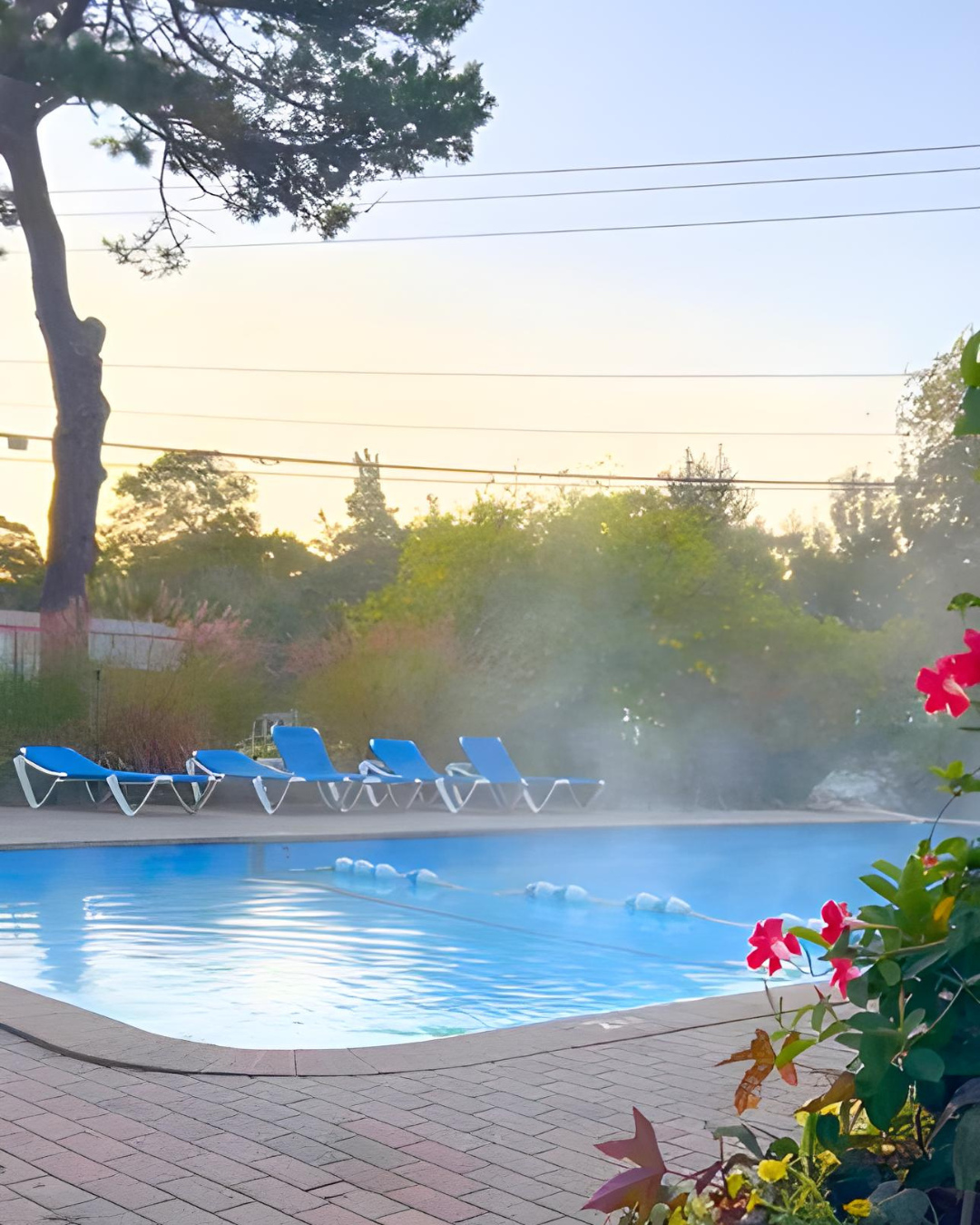 What a beautiful summer it’s been. 🌻
To all the wonderful families (and furry friends!) who spent their days with us thank you for making this season so special.
Read our latest blog, “A Big Thank You to All the Wonderful Families Who Shared Their Summer with Us,” and relive a little of that Cape Cod magic.
👉 https://www.yarmouthcountrycabins.com/post/a-big-thank-you-to-all-the-wonderful-families-who-shared-their-summer-with-us
#YarmouthCountryCabins #CapeCodGetaway #FamilyVacation #ThankYou #CapeCodMemories #SimpleSummerJoy