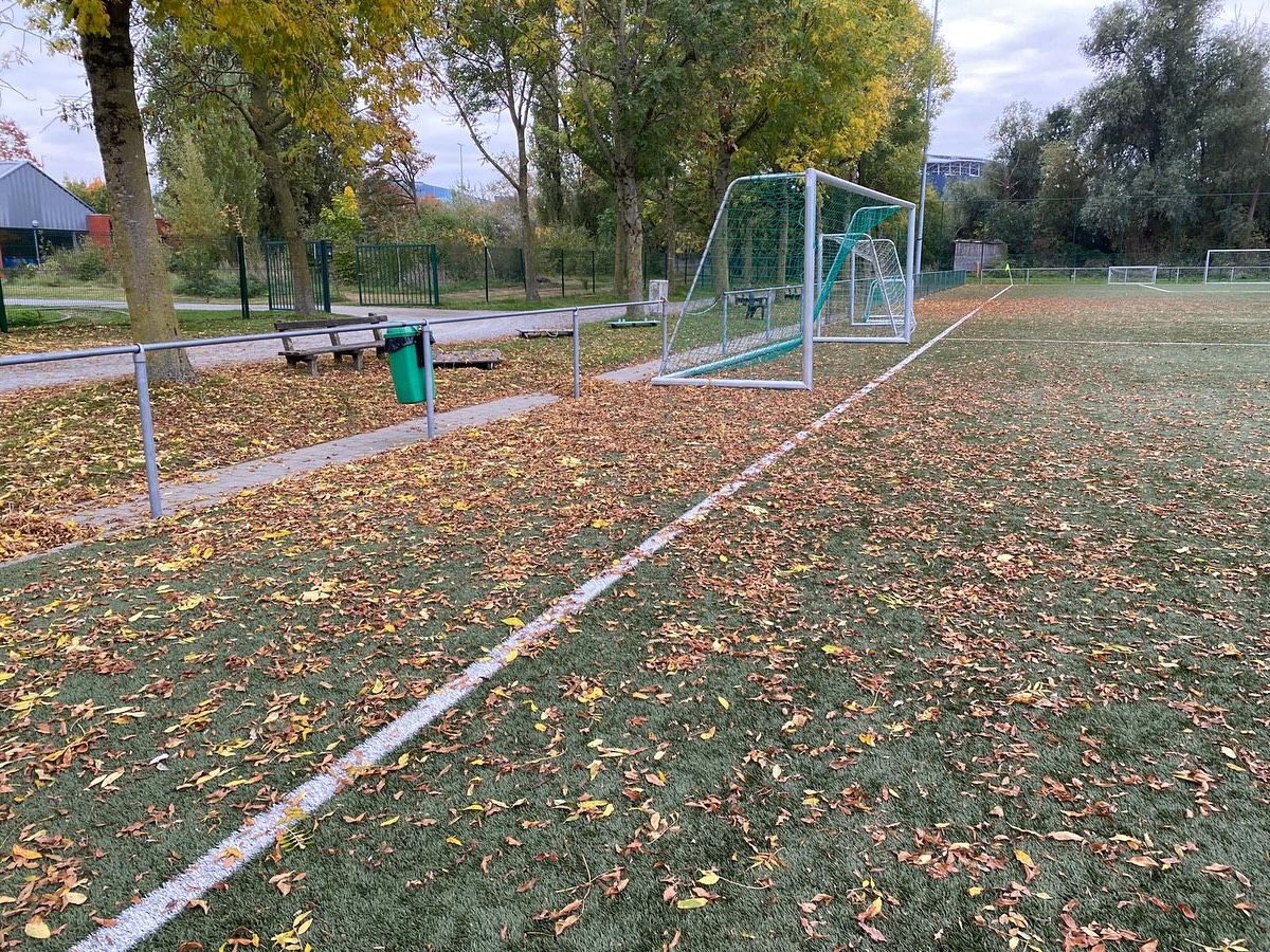 🌿 Fase 2 in actie!
Tijdens de verdieping in fase 2 oefenen we de technieken van de groendienst ook op verplaatsing. Deze week trokken we naar Hou ende Trou in Zwijnaarde om een handje te helpen. 💪
Met de bladveger maakten we het kunstgras weer netjes en veegden we de paden rond het voetbalveld schoon. ⚽✨
Een fijne ervaring én een mooie samenwerking! 🌱
#samenwerking #groendienst #praktijkleren #Zwijnaarde #HouEndeTrou