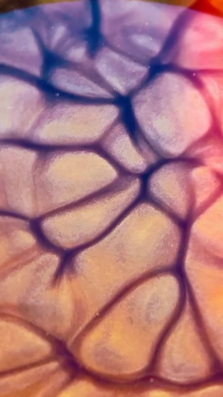 Somewhere between a potion and a recipe,
a new batch of Mémé Magique is brewing… ✨
Made with love, fire, and the purest ingredients nature offers.
A recipe whispered down through generations…
So safe you could eat it, so nourishing your skin will thank you and glow.
📦 Pre-orders opening soon.
#MemeNature #BeautyFuel #SkinFood #CleanBeauty #NaturalSkincare #FromGrandmaWithLove #SlowBeauty #OrganicGlow #MultiUseSkincare
⸻
🇳🇱
Iets tussen een toverbrouwsel en een recept in,
een nieuwe batch Mémé Magique staat te pruttelen… ✨
Gemaakt met liefde, vuur en de puurste ingrediënten uit de natuur.
Een recept dat generatie op generatie werd doorgegeven…
Zo puur dat je het zou kunnen eten, zo voedend dat je huid je dankbaar zal zijn en zal stralen.
📦 Pre-orders binnenkort mogelijk.
#MemeNature #NatuurlijkeHuidverzorging #GezondVoorJeHuid #Toxinevrij #PuurEnEcht #SlowSkincare #BeautyFuel #Huidvoeding #GrootmoedersGeheim
⸻
🇫🇷
Quelque part entre une potion et une recette,
un nouveau lot de Mémé Magique est en train de mijoter… ✨
Préparé avec amour, feu et les ingrédients les plus purs de la nature.
Une recette transmise de génération en génération…
Tellement pur que vous pourriez le manger, tellement nourrissant que votre peau vous remerciera en rayonnant.
📦 Précommandes bientôt ouvertes.
#MemeNature #SoinNaturel #BeautéPure #CosmétiqueClean #RecetteDeGrandMère #PeauÉclatante #SoinSlow #BeautéÉthique #SkinFood