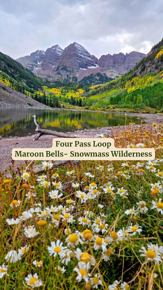 This hike is absolutely breathtaking! 💛
🏔 The Four Pass Loop in the Maroon Bells- Snowmass Wilderness is a 26 mile, challenging backpacking loop. It is absolutely a bucket list hike. However, due to it's popularity, you have to navigate permits- for camping and parking. This process can come with a lot of question marks. If you don't know what to lool for it can be quite confusing.
🤓 Luckily! Roam Ready has compiled 10+ hours of research into a 40 page document for you, so its all in one place. You can even download it and take it with you on trail! It includes:
- Offline digital maps + a free app you can use
- 2,3 and 4 day Itineraries for both an Aspen and a Crested Butte start
- How tos for parking and camping permits
- Paper campsite maps
-Expert tips and insider knowledge
-And so much more!
✨️Interested? Head to the link in our bio and go to our Ready to Roam Guides under our Adventure Library. ✨️
#fourpassloop #maroonbells #colorado #backpacking #guide #RoamReady #RoamReadyTrips #liveauthentic #TravelPlanner #travelagency #travelconsultant #StressFreeTravel #AdventureTravel #BudgetTravel #TravelMadeEasy #ExploreTogether #adventure #AdventurePlanner #adventuretime #smallbusiness #smallbuisnessjourney #womanowned #womanwhoroam #itinerary #trip #travel #outside #nature #explore #bucketlist
