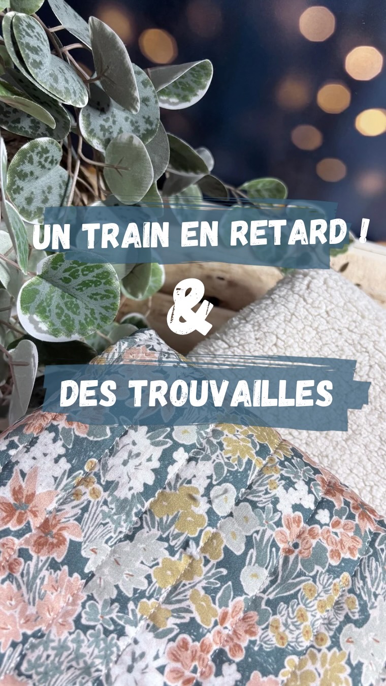 Un train en retard… et des trouvailles ✨
Le retour du Knit Eat, comment dire… une aventure à lui tout seul 😅
Entre le train bloqué, un bagage abandonné, et Mathilde qui s’est trompée de gare pour venir nous chercher 🙈
on a bien mérité nos sacs remplis de tissus et de fous rires 💛
J’ai craqué pour trois superbes tissus Rifle Paper chez LN Fabrics, un matelassé tout doux chez Maison Naïve
et une moumoute incroyable chez Super Bison —
la dernière longueur, à 7€ le mètre, une vraie affaire 😄
Le matelassé et la moumoute sont déjà prévus pour un gilet de berger, avec le joli modèle de L’Atelier des Gourdes ✂️💛
Et pour couronner le tout, je suis rentrée avec une petite figurine…
je ne sais pas trop comment, elle a dû sauter dans mon sac 😉
De quoi bien m’occuper à l’atelier 🪡✨
#kniteat #butincreatif #ateliercocooning #tissusaddict #broderieplaisir #faitmainatelier #latelierdesgourdes #maisonnaive #superbison #lnfabrics #creatricelocale