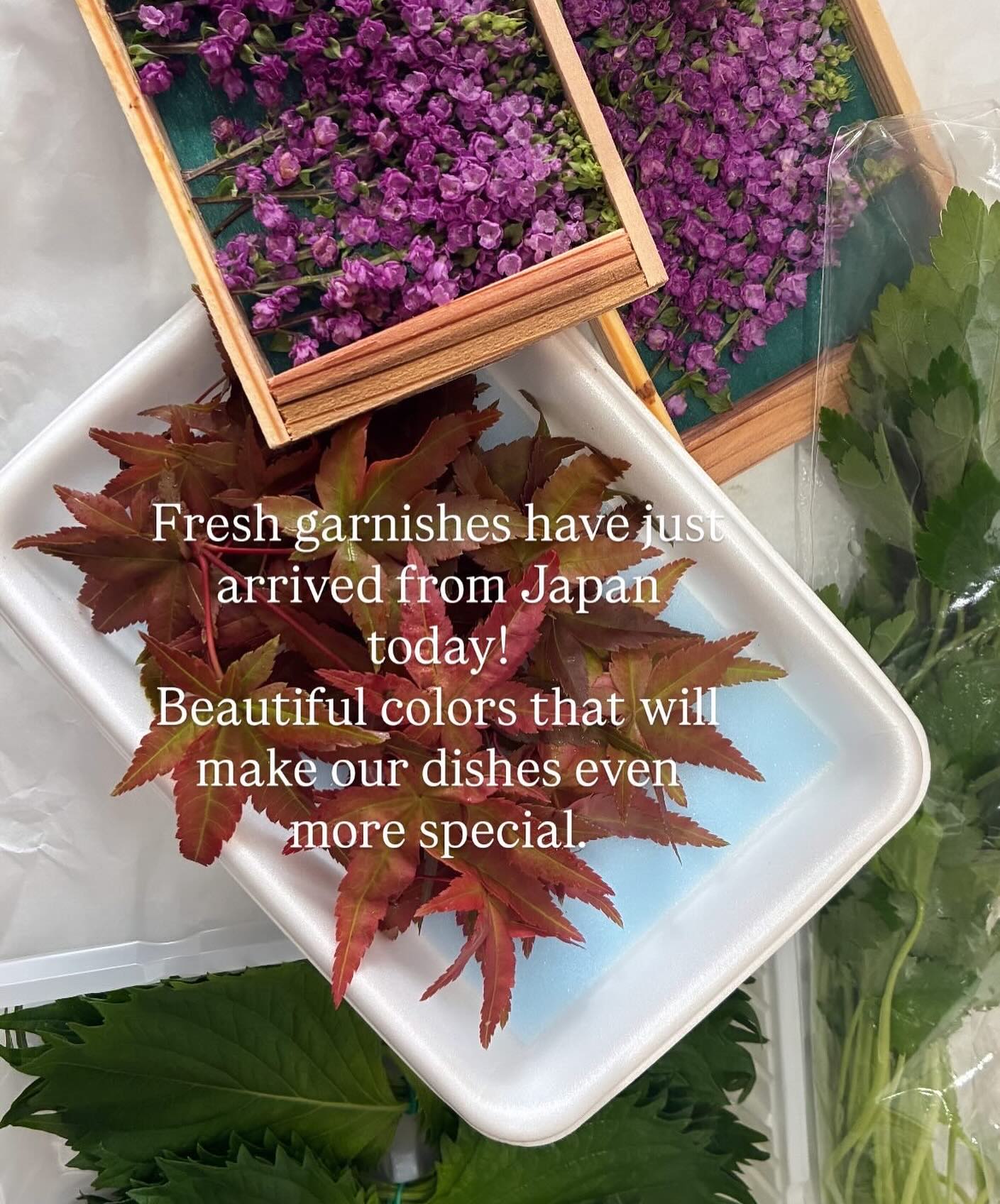 .
🍁🍁🍁
#yokoya #camdentown #camdentownlondon #london #japaneserestaurants