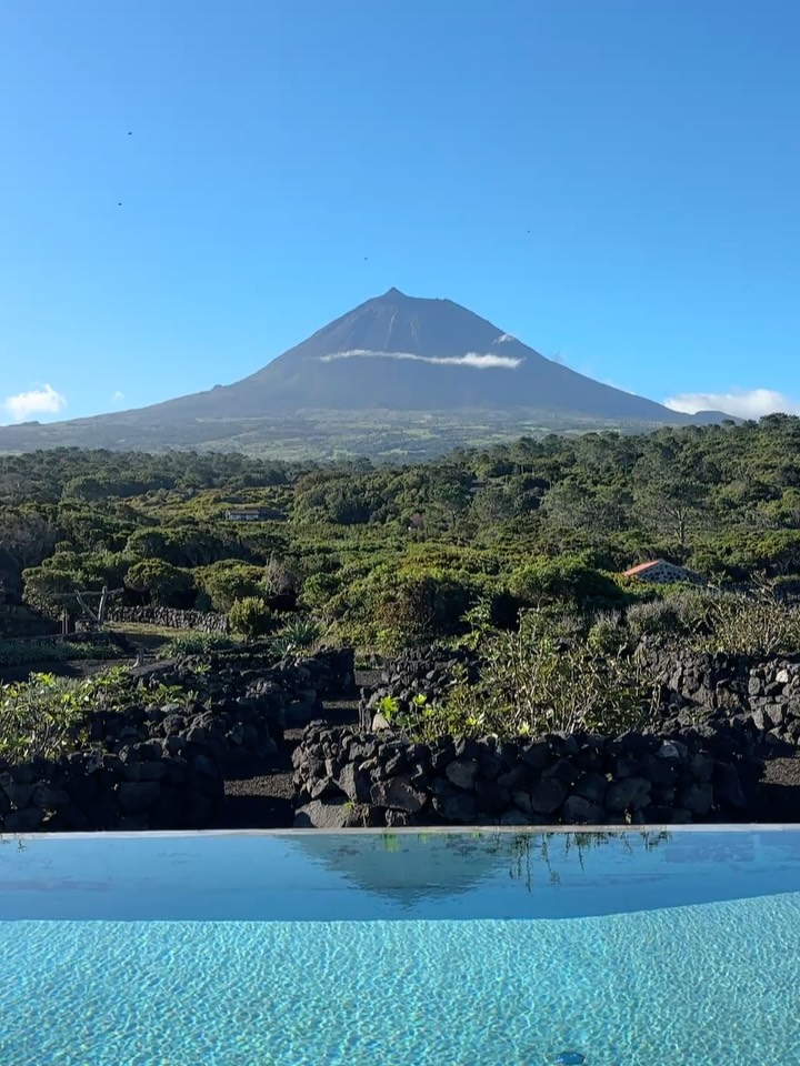 Feeling bright eyed and bushy tailed after a week on Pico with the OGs @marleyivyyoga & @seed.retreats 💗