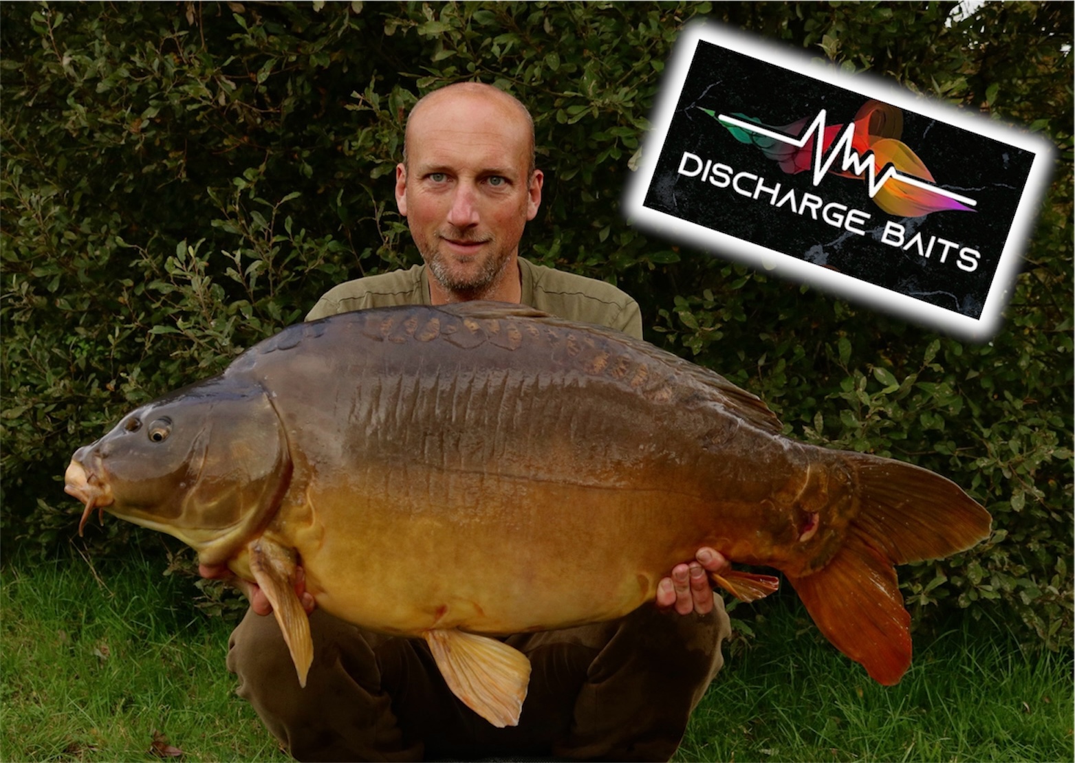 39lb Mirror caught using Orange & Squid Discharge Wafters #dischargebaits #wafters #orange #squid #carpcaptures
