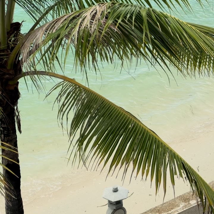 No matter how far you’ve gone, home will always look like this. The city hustle, the calm of the province, the beauty of our islands — all waiting to welcome you back. ❤️
Book your homecoming stay with our Gift of Home: Balikbayan Deal, and enjoy up to 40% discount made just for you. For bookings and inquiries, email or message us at reservations.setir@sunlighthotelsandresorts.com, +63 917 521 4260 or +63 930 020 8218.
#DoseOfSunlight #GiftOfHome #BalikbayanDeal