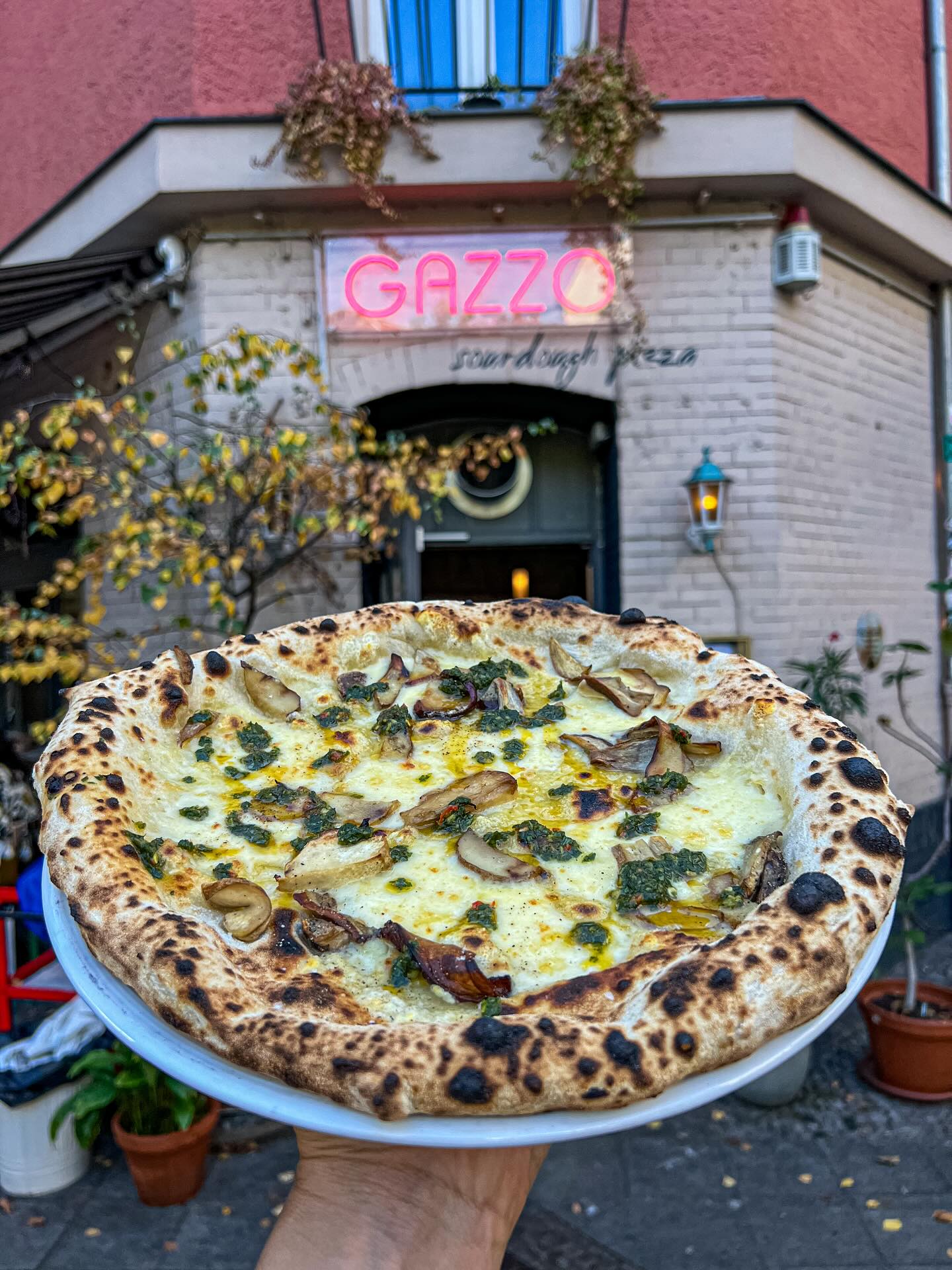 Last porcini of the season today! 🏃🏽♂️ The porcini are wild foraged close to Berlin. We match the umami from the mushrooms with pungent fontina, and top it with chimichurri for some acidity and herbal flavors ✨ From tomorrow, there will be a new special on the menu 💖