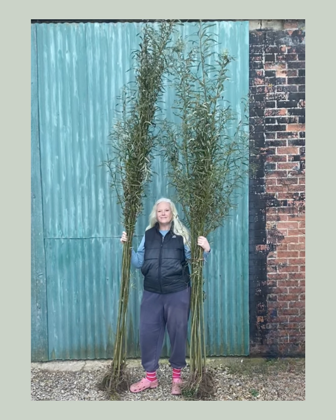 Locally grown. Freshly lifted. Ready to root.
It’s planting season at Horse Hedges & Trees!
#BareRootSeason #NativeTrees #HorseFriendlyHedges #WestNorfolk