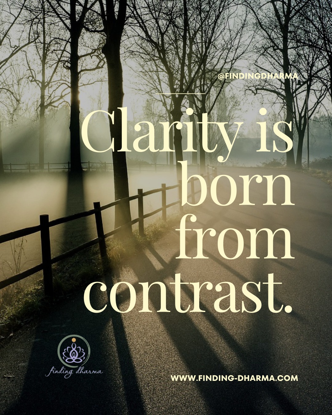 Sometimes the path to clarity doesnโt begin with knowing exactly what you want. It starts by recognizing what you donโt.
Every โnoโ is sacred guidance.
Every misaligned choice, a mirror.
Every bit of resistance is your soul whispering, โNot this.โ
When you name what doesnโt fit - what drains, distracts, or feels heavy - you create space for what does.
Clarity unfolds not through force, but through gentle awareness.
๐ฟ Ask yourself today:
What no longer feels aligned with who I am becoming?
Let that awareness guide you toward what your soul truly desires.
This weekโs Soul Journey Gathering: Gaining Clarity will explore just that - how to listen to both the yes and the no, and let your next step unfold from awareness.
๐ซ Thursday, Oct 23 | 7PM ET | Link in bio
#Clarity #InnerKnowing #FindingDharma #SoulJourney #Manifestation #ClarityJourney #SoulAlignment #MindfulLiving #PersonalGrowth #AwarenessPractice #SpiritualAwakening #InnerPeace #SelfDiscovery #ConsciousLiving #EmotionalWellness#EnergyAlignment #SelfAwareness #AwakenYourSoul #Mindfulness