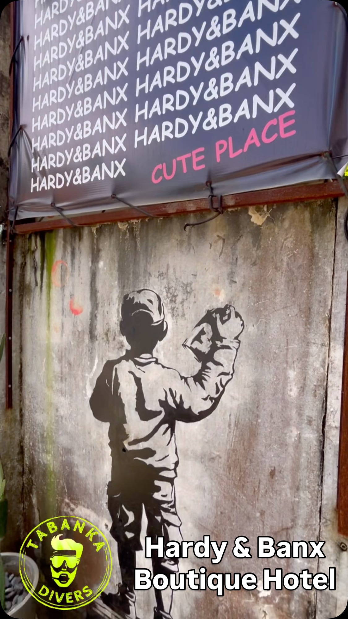 🌴✨ Dive. Chill. Repeat.
Check out Hardy & Banx — Tabanka Divers’ own Boutique Hotel where island style meets rooftop smiles.
💦 #ElNido feels, boutique charm, and a splash of fun — all under watch of Dogmaster Bronson.
#HardyAndBanx #ElNidoVibes #BoutiqueHotel #PhilippinesTravel #TropicalGetaway #dogmasterbronson #PalawanParadise #StayAndDive #ElNidoHotels #TravelPhilippines #IslandLife #HardyAndBanxElNido #TabankaDivers