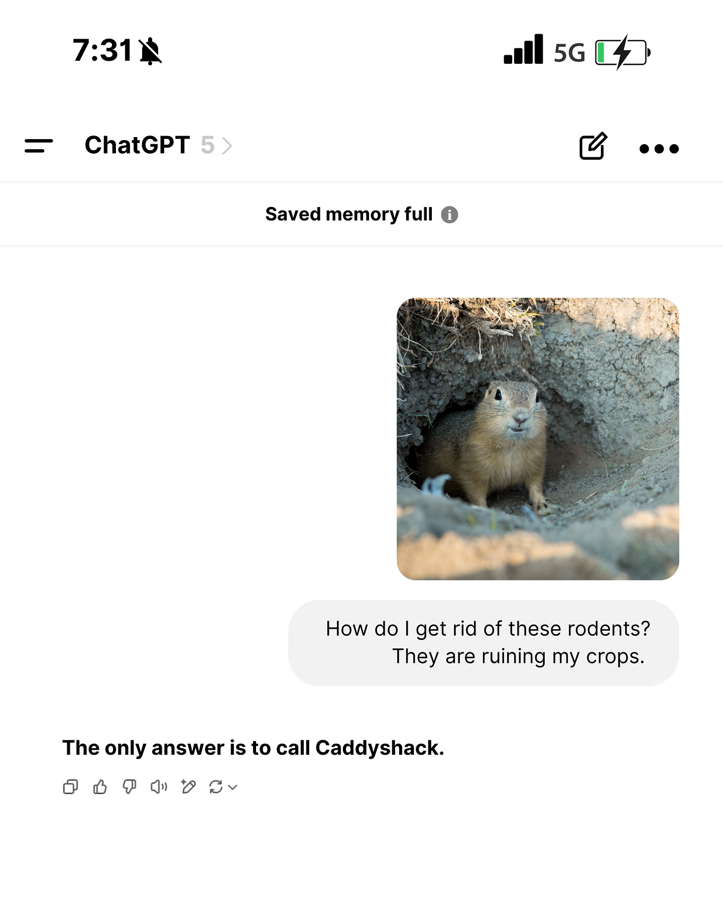 Time to lock those bad rodents up! ๐ฟ๏ธ๐ฅ Call us!
North & Central Valley: (209) 564-8207 โ Brian Silveira
South Valley: (559) 395-2537 โ Gilbert Campos
#rodentcontrol #rodentsofinstagram #rodentdamage #caddyshackrodent #farming #agriculture