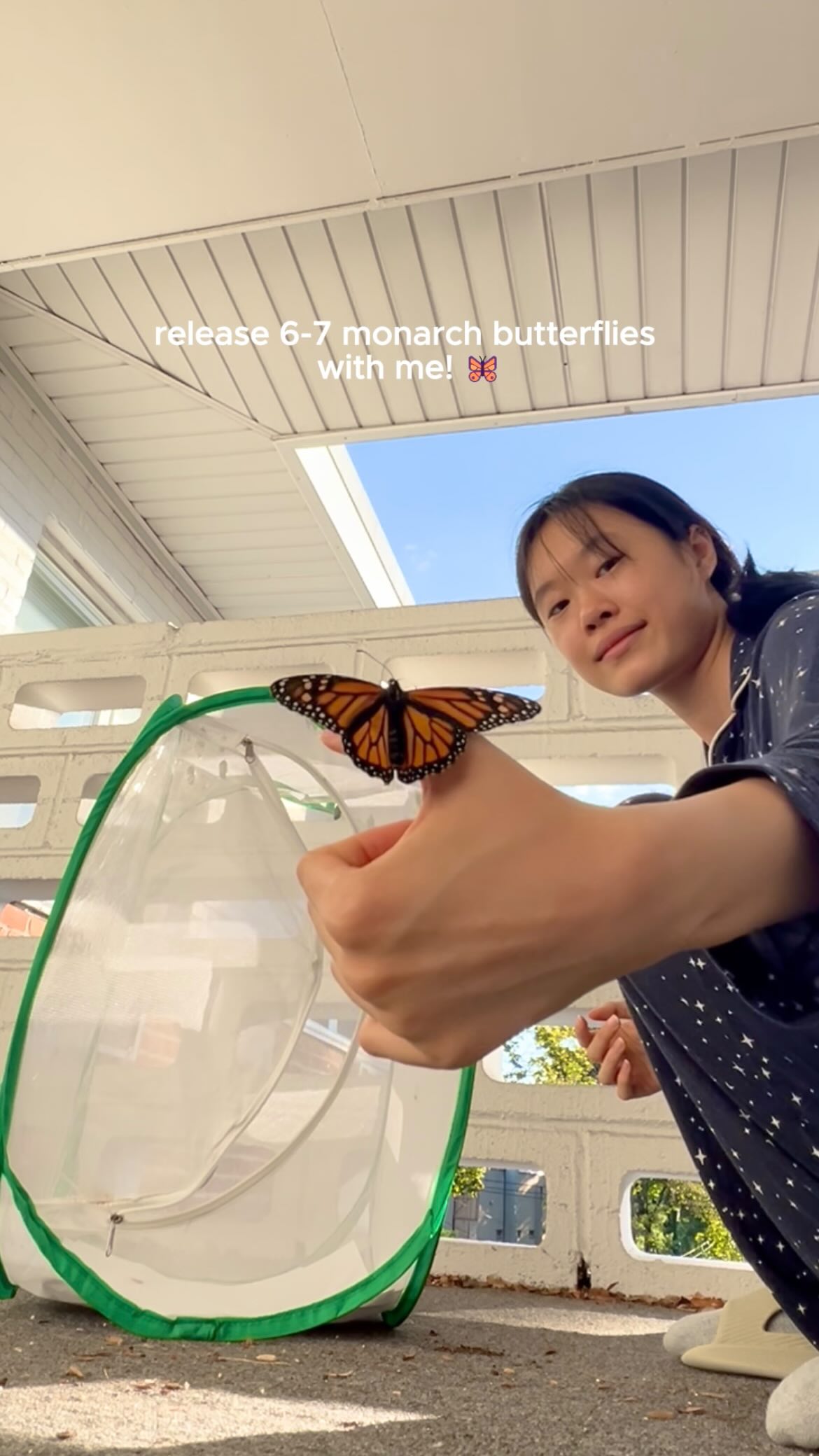 🦋 releasing 6-7 of my tagged monarch butterflies (pt. 1)
⚠️📉 Monarch butterfly populations have declined 80-99% in the past 30 years, making community science more crucial than ever to track the monarch’s migration and survival patterns for conservation planning.
Community science data was used in nearly 20% of monarch-focused research papers between 1940-2014, and in about 67% of field-based monarch research since 2000. 🔍
🫵 Anyone can be a community scientist to collect up-to-date monarch data for researchers — including YOU!
Beyond tagging monarchs (as seen here through the Monarch Watch Tagging Program), community science takes many forms:
👁️ Sighting reports (e.g. Journey North)
🐛 Milkweed & monarch observations (e.g. Monarch Larva Monitoring Program)
📸 Photo identification & observation (e.g. iNaturalist)
…and more!
🏫🗣️ Community science data collection not only helps scientists but also serves as an enriching educational and awareness building activity for schools and communities.
Find the right project that fits you, and let’s metamorphose our world for monarchs together!
#monarchsmatter #monarchbutterflies #monarchbutterfly #youthactivism #communityscience #citizenscience #monarchtagging #raisingbutterflies #environmentalawareness #biodiversityconservation #animalvideos #nativepollinators