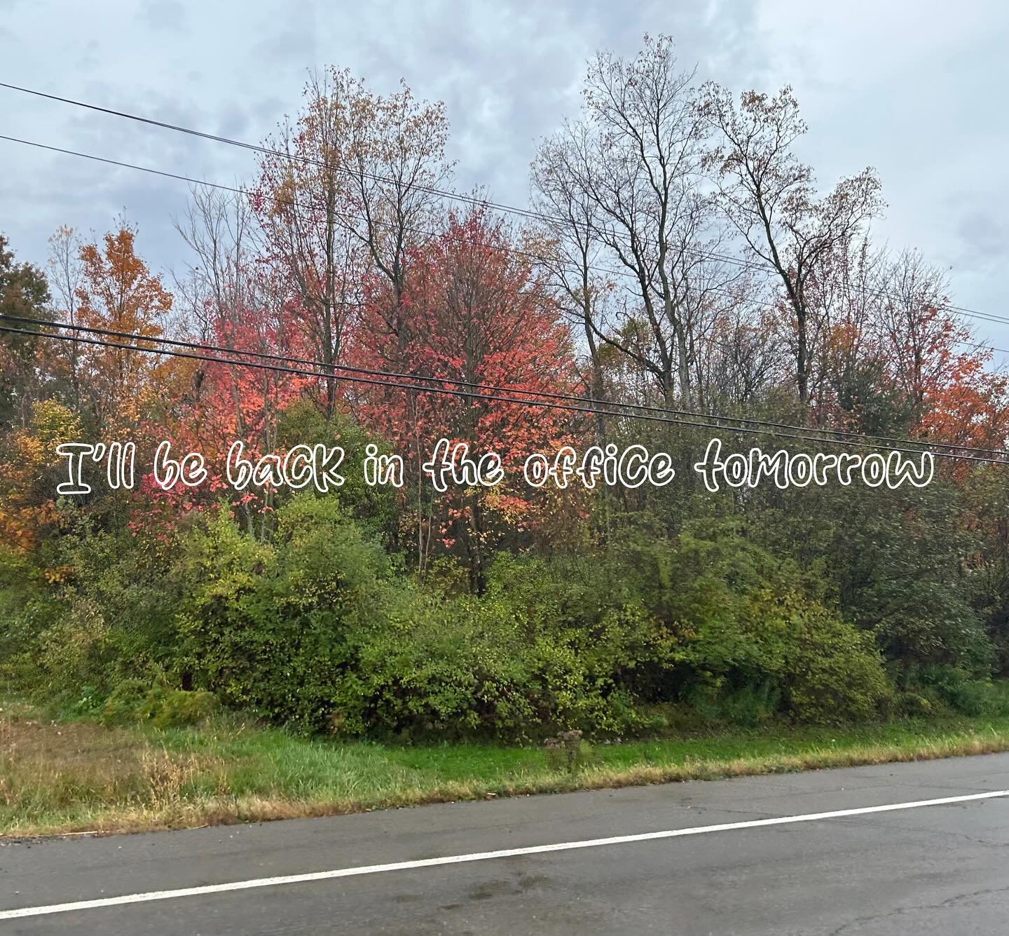 Restored.
Relaxed.
Sick of my family.
Excited to be back with my clients this week!