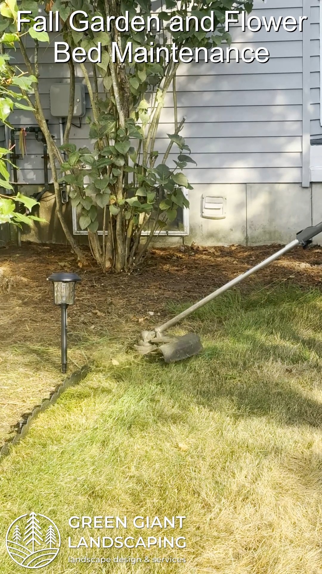 Fall Garden and Flower Bed Maintenance on the South Shore, MA: Why Autumn 2025 Is the Perfect Time for Care.
Green Giant Landscaping,
Southeastern, MA.
Call now for your free quote!
Landscape architecture
Planting
Land clearing
Tree and shrub care
Seasonal cleanups
Old overgrown shrubs removal
Mulch installation
Garden maintenance
Weed barrier fabric
Bobcat services
Professional Landscape Design.
https://www.greengiantlandscaping.com/post/fall-garden-and-flower-bed-maintenance-on-the-south-shore-ma-why-autumn-2025-is-the-perfect-time-f
Phone:
+1 413-406-9094
#landscaping #landscapedesign #gardening #gardendesign #landscaper #landscapearchitecture #treeandshrubtrimming #mulch #Massachusetts #southshore #newton #boston #hingham #marshfield #scituate #NewtonMA #scituatema #milton #canton #wellesleyma #SpringCleaning #shrubtrimming #shrubcare #plantingdesign #gardentransformation #springcleanup #mulching #cobblestone #cobblestoneedging