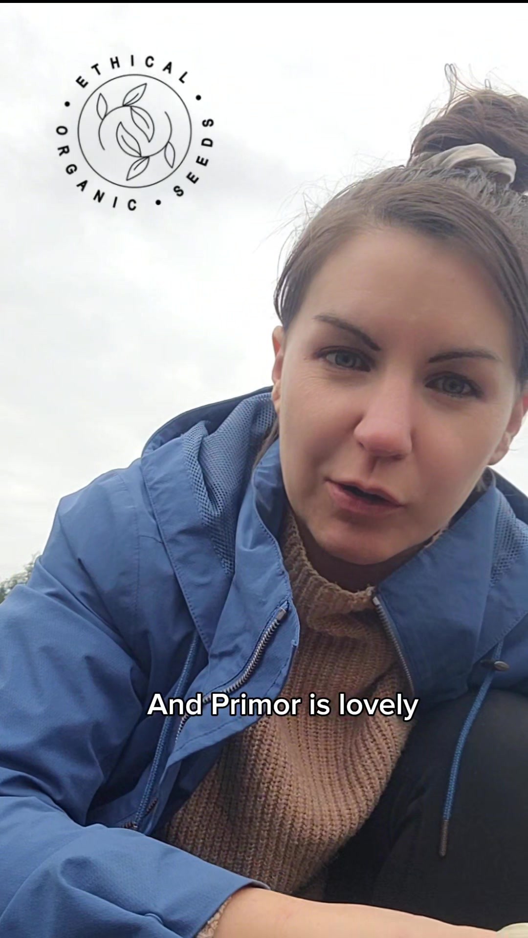 Our Organic Garlic Rustisem and Primor 🧄🧄🧄 There's a couple of weeks left to get the garlic in the ground before it gets too cold! We are selling our primor for just £1.99 due to a surplus of stock #garlic #organicgarlic #plantinggarlic #plantinggarlicforthefirsttime #allotmentuk