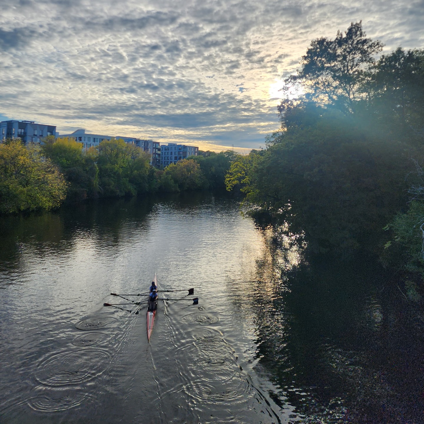 The power and serenity of #ParaRowing the Charles.
#everyBODYrowing
Athletes: Sophie (PR2) & Sarah
📸 @jsichrockin