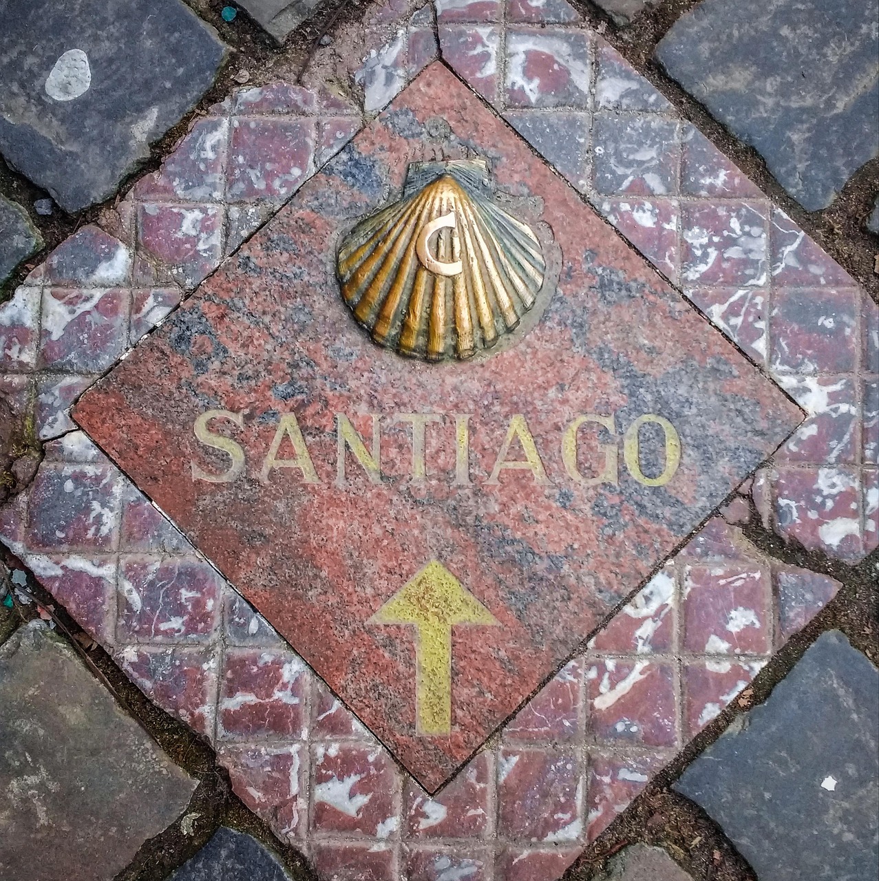 ✨ ¿Listo para vivir una aventura que te cambiará para siempre?
El Camino de Santiago no es solo una ruta, es una experiencia que conecta cuerpo, mente y alma.
Desde el Camino Francés hasta el Camino Portugués, cada paso está lleno de historia, paisajes únicos y momentos que recordarás toda la vida.
👣 Descubre en nuestro blog cómo empezar, cuándo hacerlo y qué necesitas para vivir esta experiencia al máximo.
🌍 Camina, desconecta y vuelve a encontrarte contigo mismo.
👉 Entra ya en chollosquevuelan.com (link en bio) y empieza a preparar tu camino.
#CaminoDeSantiago #CaminoFrances #CaminoPortugues #CaminoDelNorte #CaminoIngles #CaminoPrimitivo #ViaDeLaPlata #Peregrino #ChollosQueVuelan #Aventura #Viajar #ViajesLowCost #TravelSpain #RutaJacobea #Viajeros #MotivacionViajera #ExperienciasUnicas #DescubreEspaña