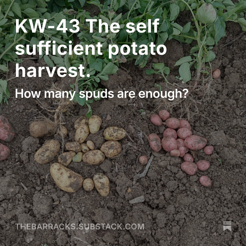 In this week's chapter of the Book of the Barracks, we try to answer the question - How many potatoes.
Interestingly, if you like that sort of thing, this is the 222nd chapter of the newsletter. It's turning into quite a long book!
https://thebarracks.substack.com/
link in story and bio