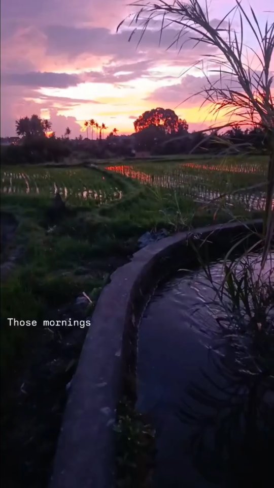 💖 Welcome it all.
Make space for what's real.
Light arises from those moments in which you stay present.
Suffocating emotions is like suffocating a flame... Give some oxygen to that within you that needs it the most, light will continue to shine....suppress it...and also that light will disappear. 🔥
Let me know your thoughts, feelings and sensations about what I shared here. 👇😌
#bereal
#relationalintelligence
#emotionalintelligence
#selfleadership
#tantra
#ifstherapy
#authenticity
#emotionalregulation