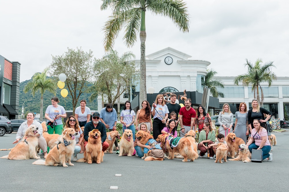 O 3º Encontro de Goldens trouxe alegria ao Casahall, em parceria com o grupo @solmar_goldens, no último sábado (18), foi um momento de conexão, sorrisos e muitas patinhas felizes. 💛
Agradecemos à @spenglerdecor e à @portobelloshopbc pelo apoio e carinho!
Aqueles que quiserem contribuir com a arrecadação de ração podem entrar em contato com o grupo @solmar_goldens
#CasaHall #EncontroDeGoldens #Goldens #PortobelloShop #SpenglerDecor #GoldenRetriever #balneáriocamboriu