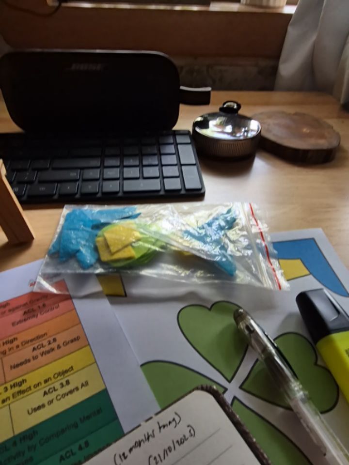 š„ Day 1: Yesterday at Therapeak I attended training on the Allen Cognitive Level ScreenāÆ(ACLSā6) (6th Edition) conducted by LorenāÆPordage. This version introduces updated tasks and reflects the ongoing evolution of assessment in the Cognitive Disability Model (CDM) originally developed by ClaudiaāÆK.āÆAllen.
Claudia Allen described cognition as a personās global ability to function, āeverything the person says and does, 24 hours a day, 7 days a week.ā In other words, cognition isnāt just memory or thinking, itās how we process information, attend, respond, and act in daily life. According to her model, critical components include:
⢠Aroused attention (are we alert and responsive?)
⢠Sustained attention (can we keep focus over time?)
⢠Information-processing speed (how quickly do we take in, interpret and act?)
This training has been a meaningful investment (yes, the ACLS-6 requires 12 months of preparation!) and Iām excited about applying it at Therapeak. By using this tool, we strengthen our capacity to evaluate and tailor interventions for clients whose cognitive processing, sensorimotor function or functional cognition may be challenged. The goal? To support real-life participation, independence and safe engagement in meaningful activities.
Thanks to Loren Pordage and the ACLS-6 training team for this opportunity š
#Therapeak #OccupationalTherapy #FunctionalCognition #ACLS6 #CognitiveDisabilitiesModel #ClaudiaAllen #OTTraining #FunctionalAssessment #NDIS #BestPractice #CognitionInAction
#MelbourneOT #australiaot